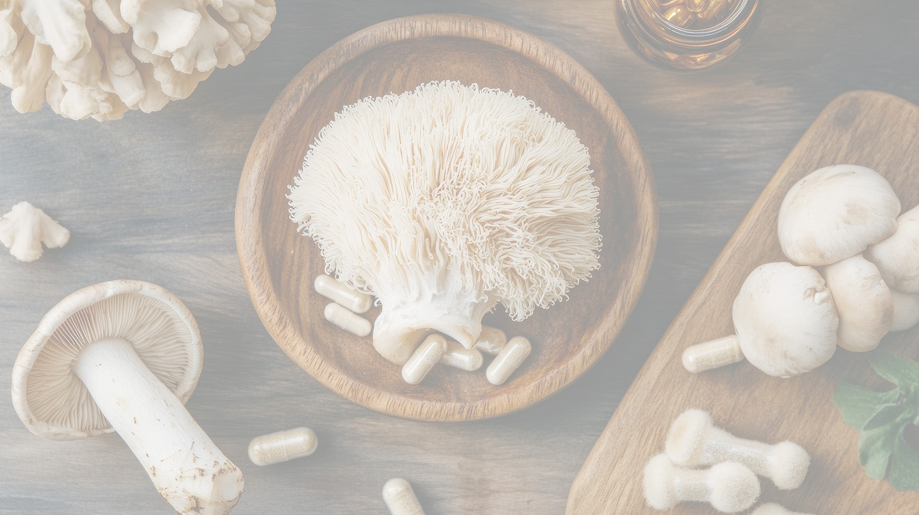 Mushroom Supplements