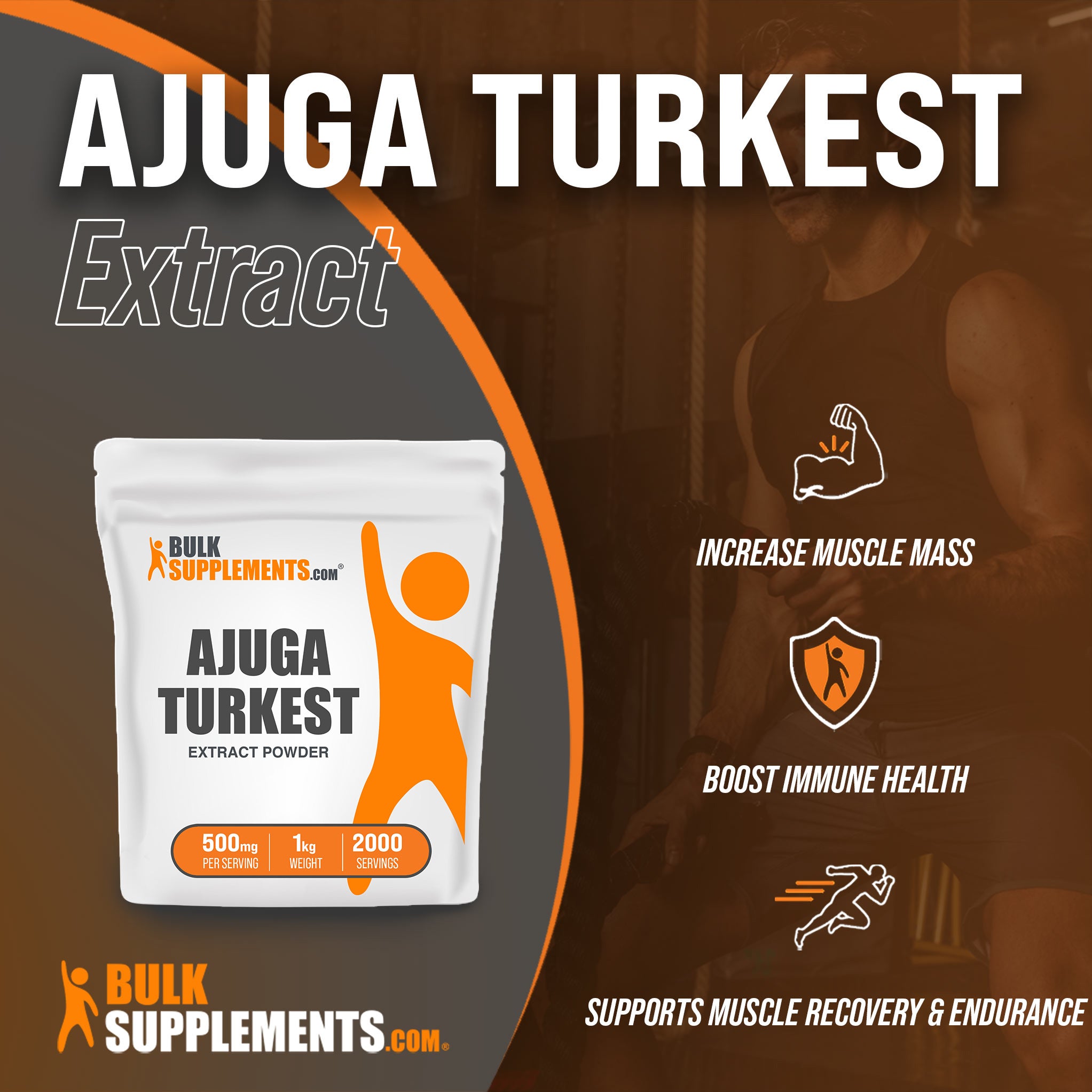 Ajuga Turkest Extract to increase muscle mass and endurance
