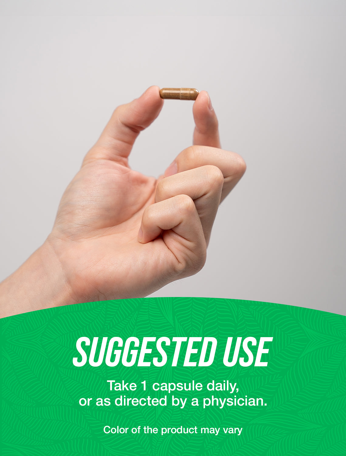 Astragalus extract capsules suggested use image