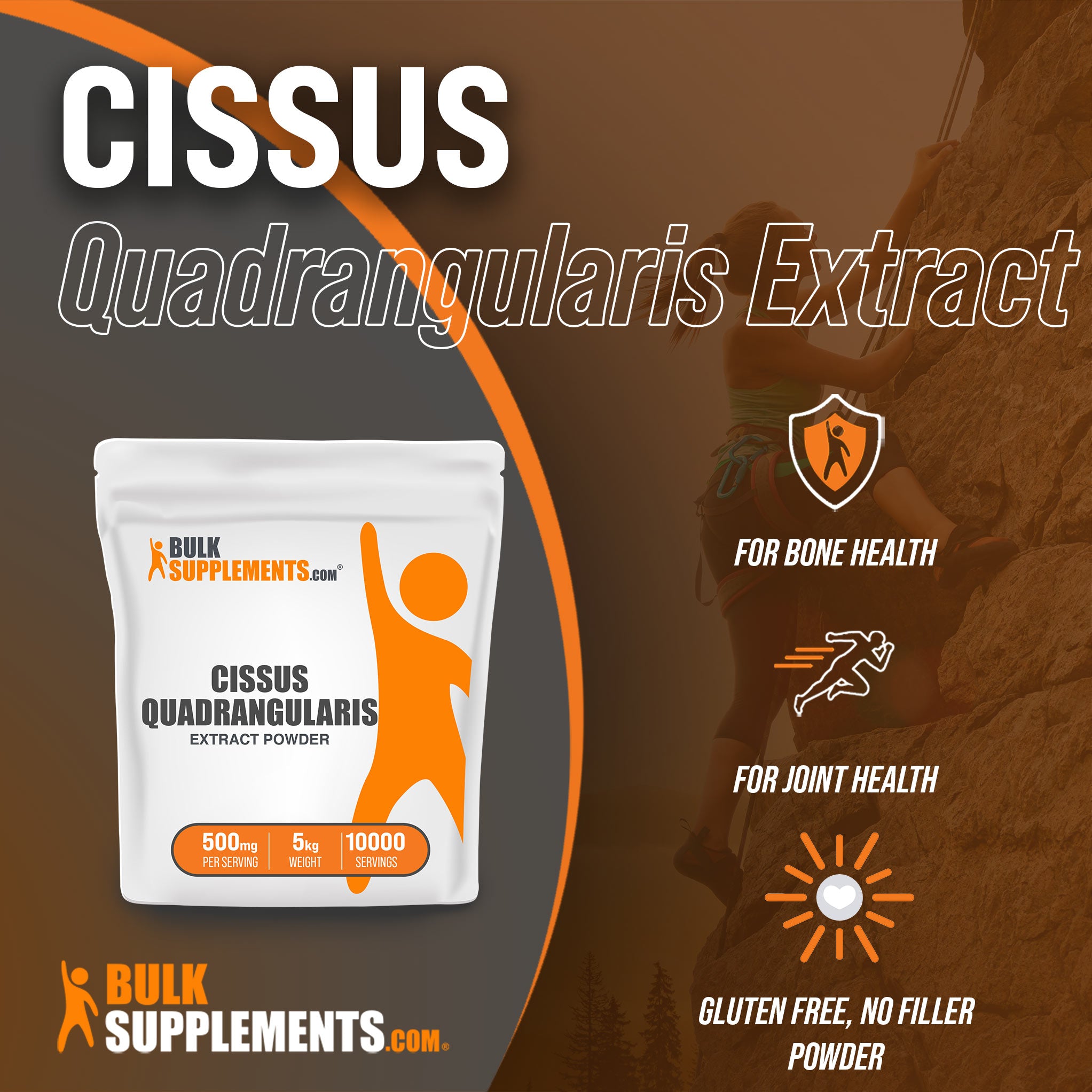 5kg cissus quadrangularis - joint support supplement