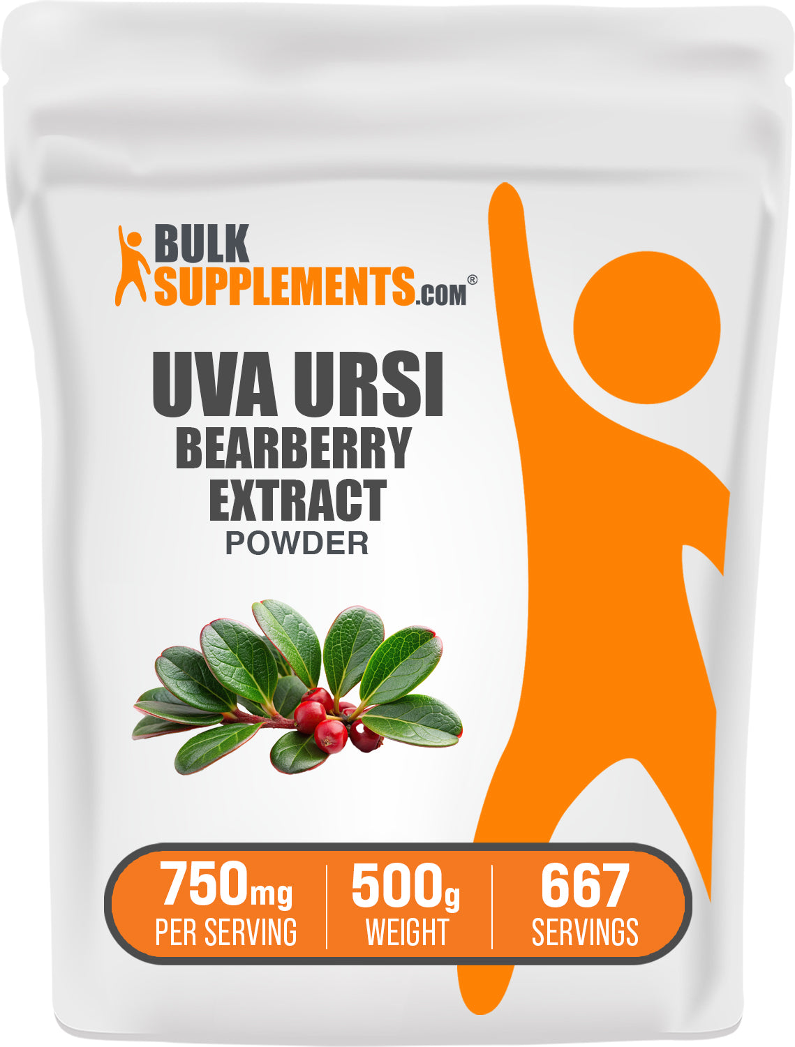 BulkSupplements.com Bearberry Extract Powder 500g bag image