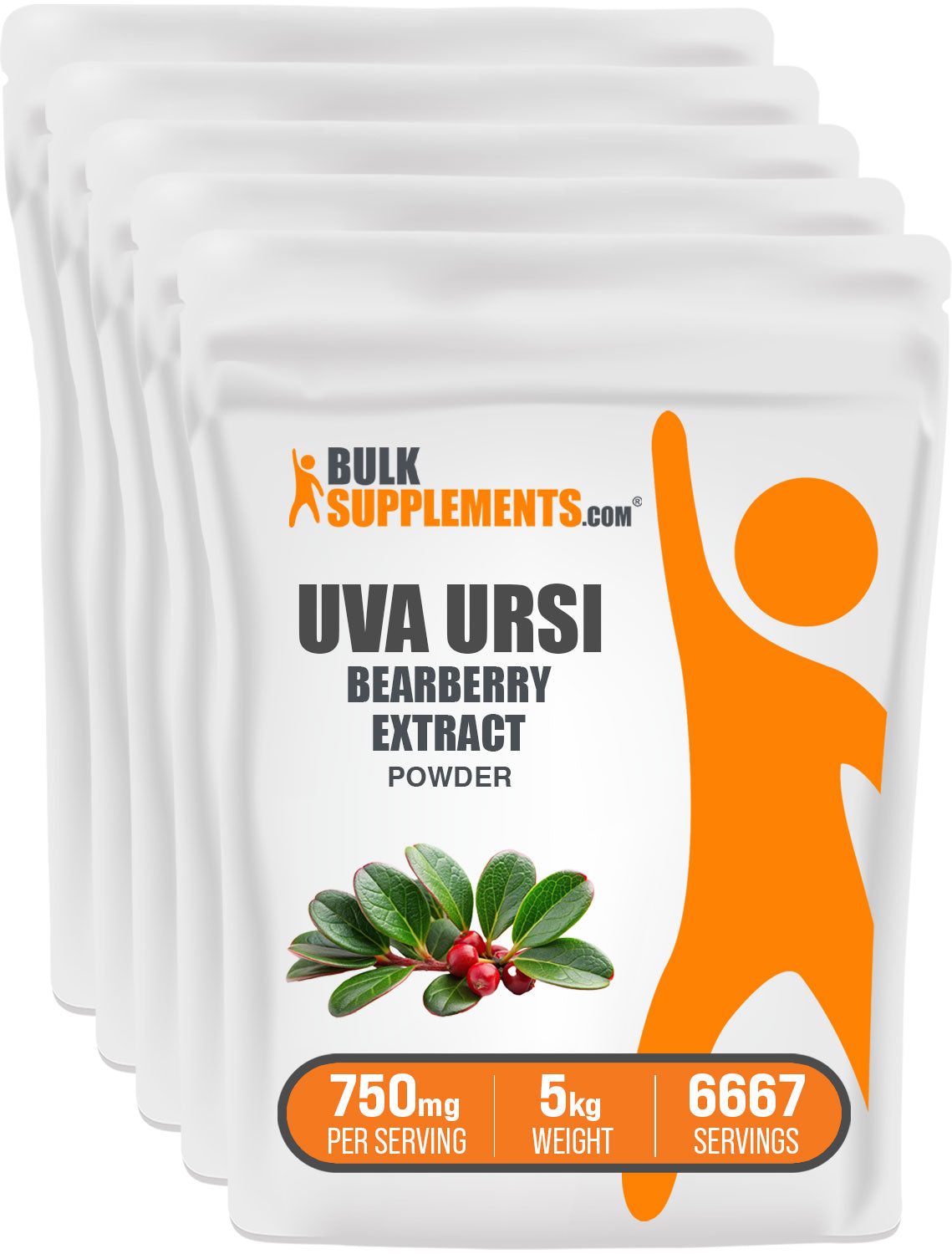 BulkSupplements.com Bearberry Extract Powder 5kg bag image