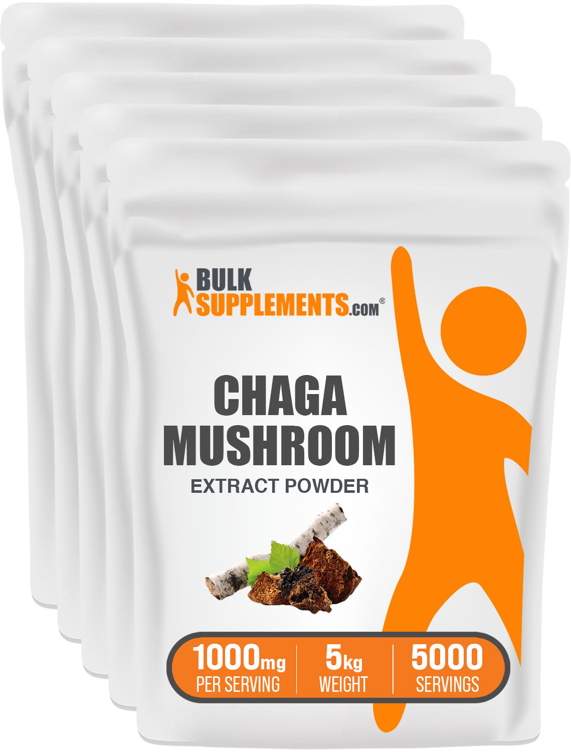 5kg of chaga mushroom supplement