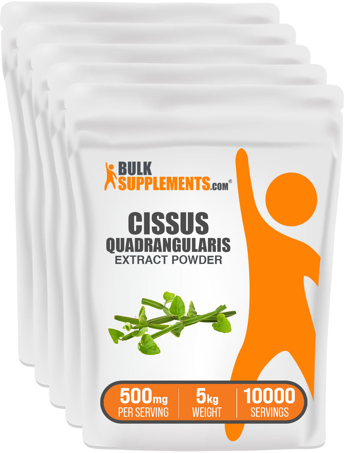 BulkSupplements.com Cissus Quadrangularis Extract Powder 5kg bag image
