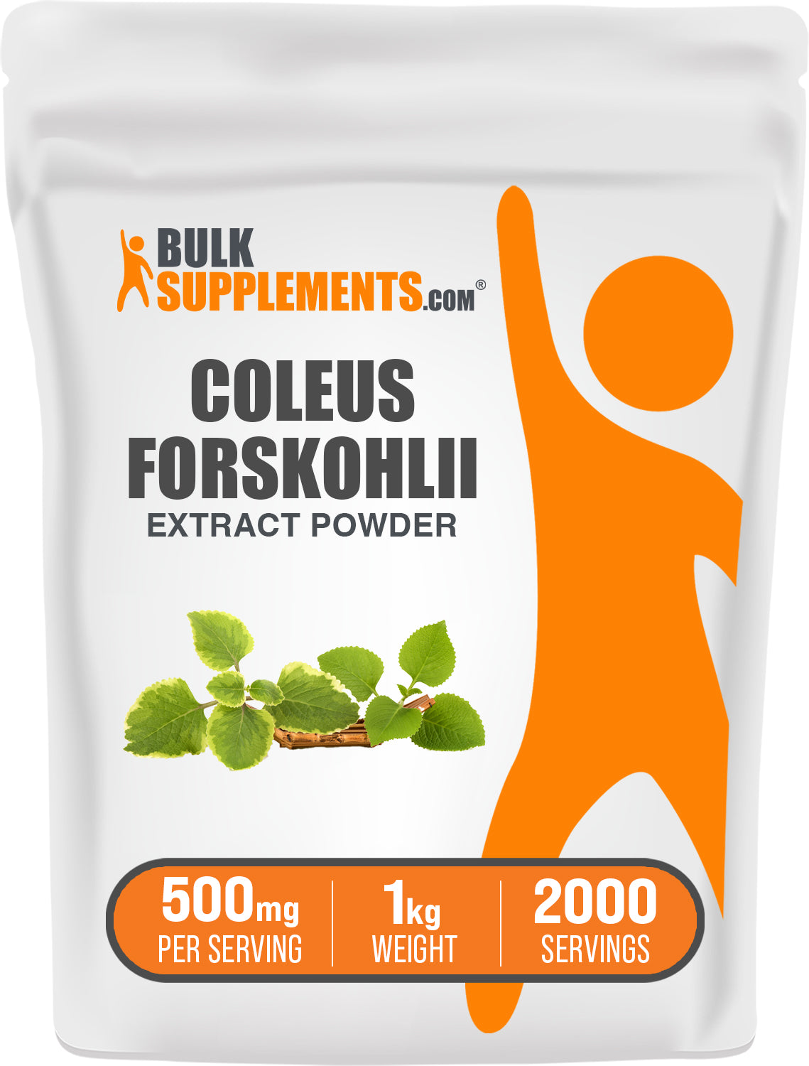 Coleus Forskohlii Extract (10% Forskolin) Powder 1kg bag image