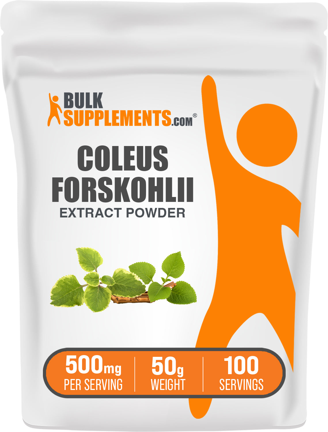 Coleus Forskohlii Extract (10% Forskolin) Powder 50g bag image