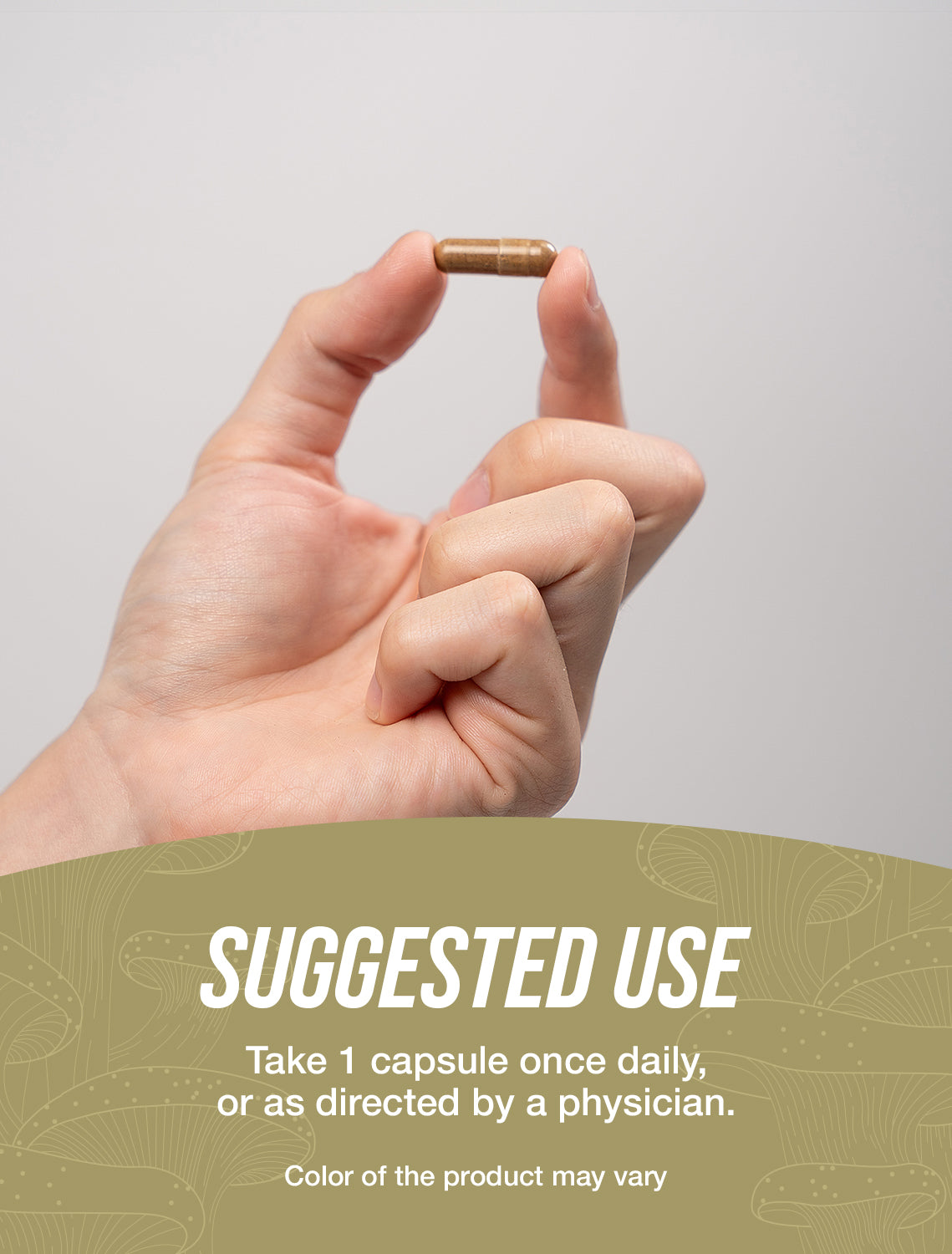 Cordyceps extract capsules suggested use image