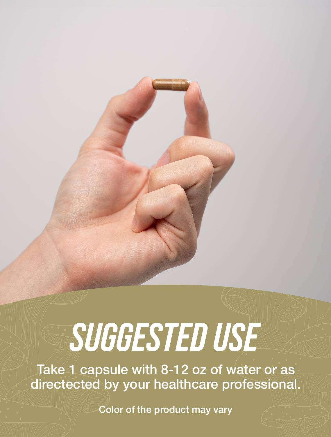 Cordyceps Extract Capsules 240ct Suggested Use