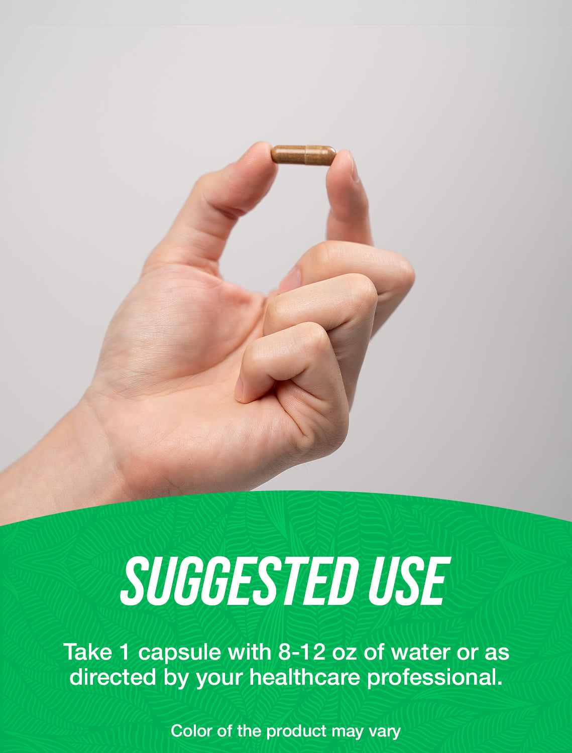 Echinacea Extract Capsules 240ct Suggested Use Label