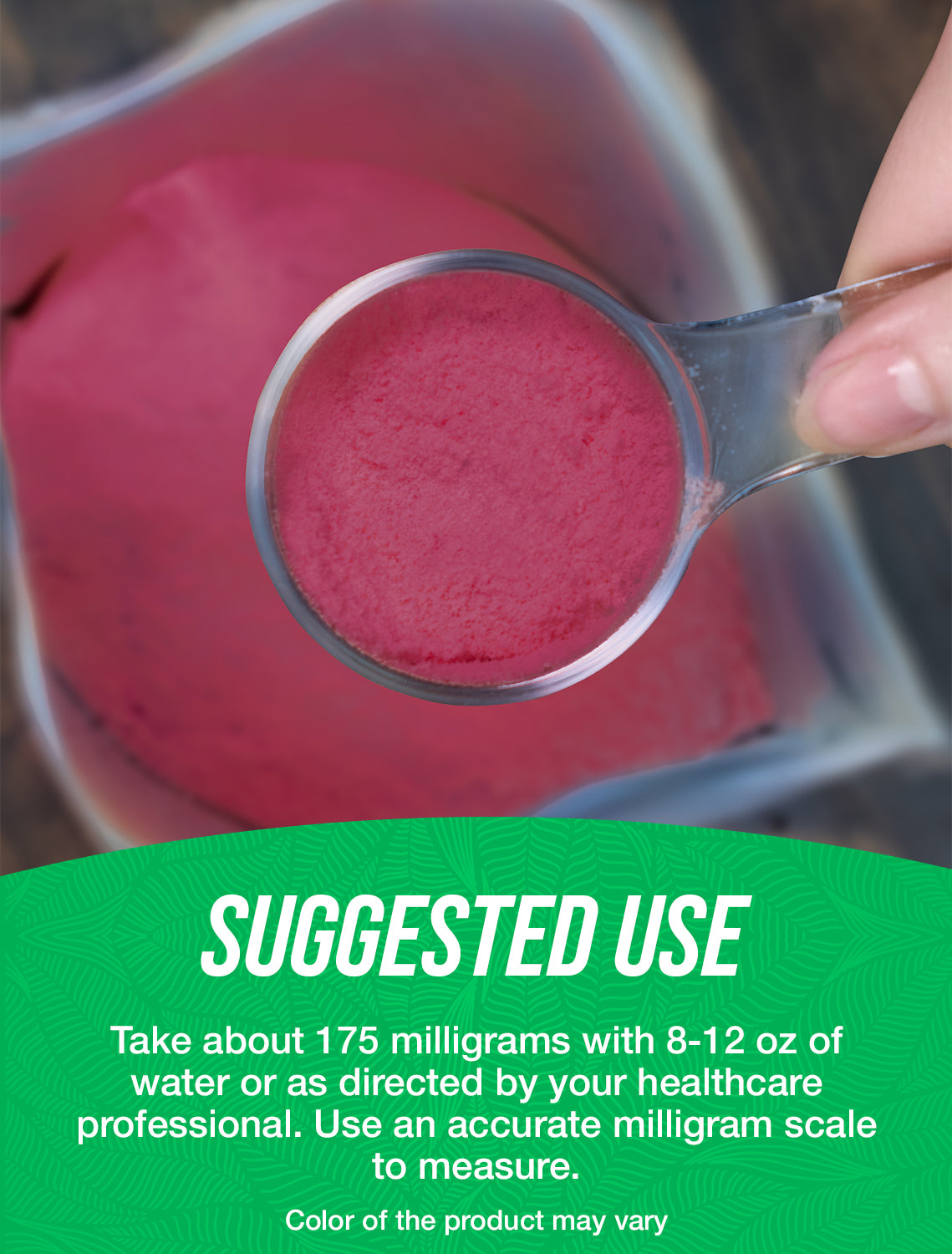 Elderberry extract powder suggested use image