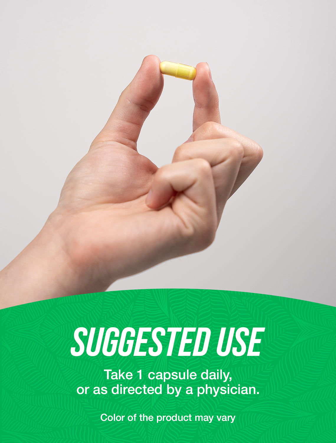 Fisetin capsules suggested use image