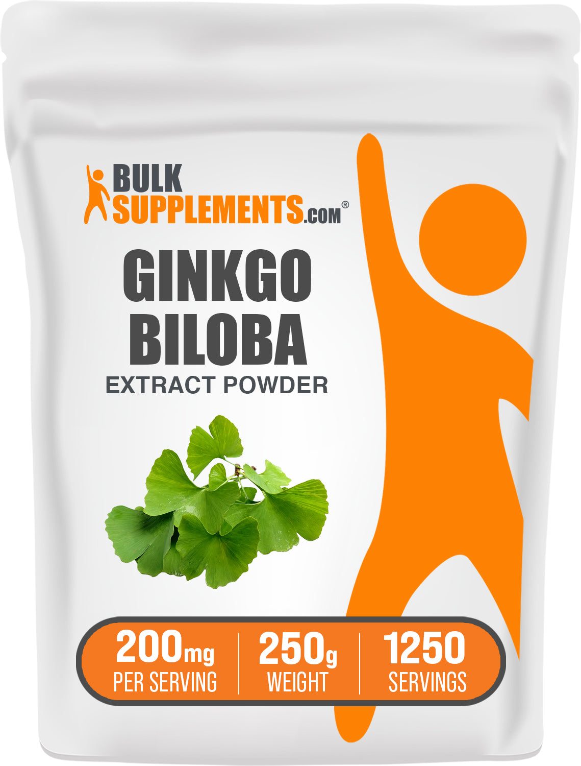 BulkSupplements.com Ginkgo Biloba Extract Powder 250g bag image
