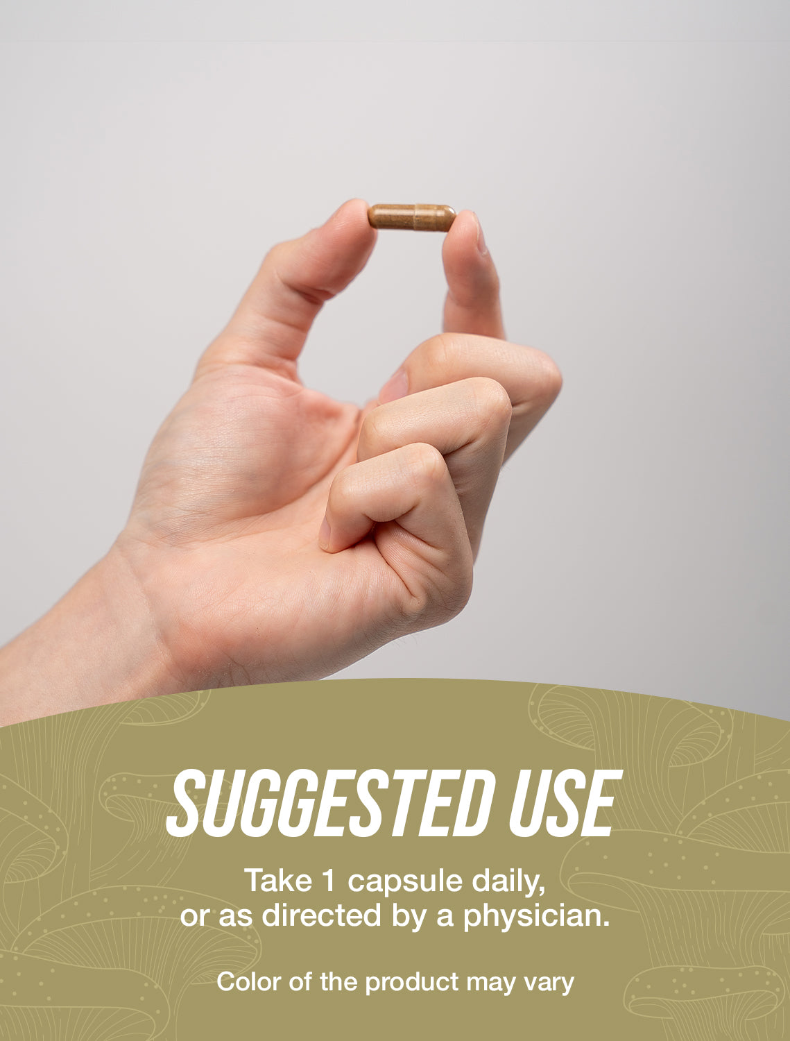 Maitake mushroom extract capsules suggested use image