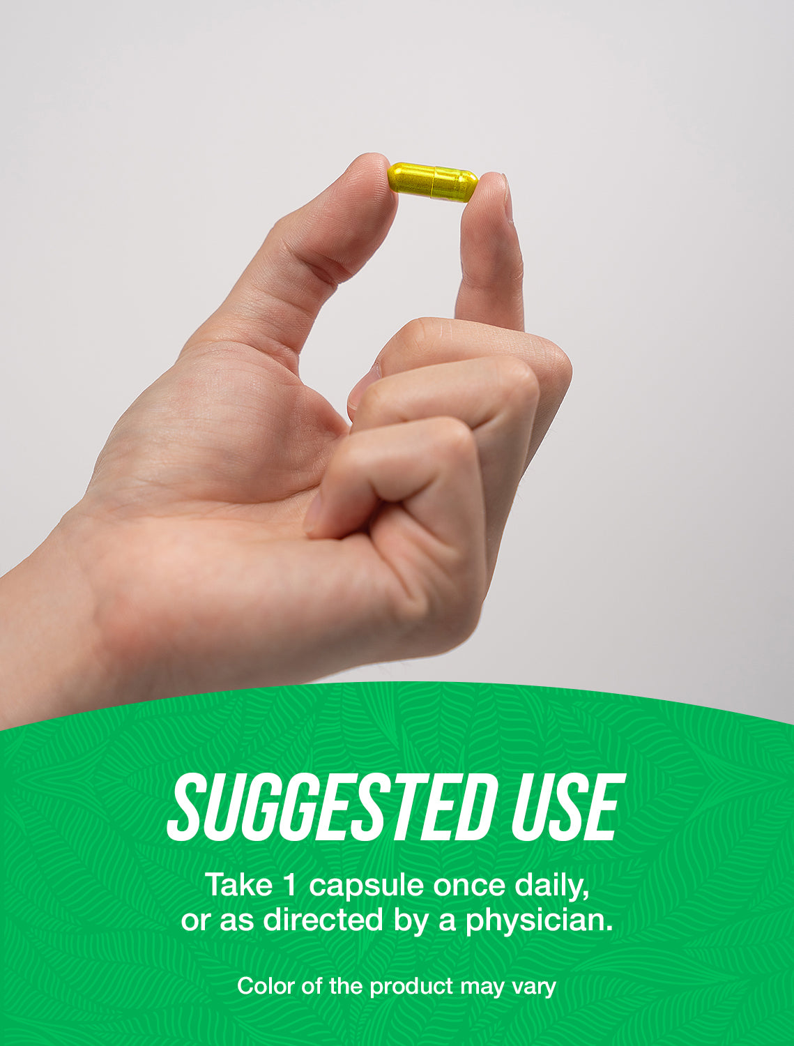 Kapsul Ekstrak Daun Zaitun