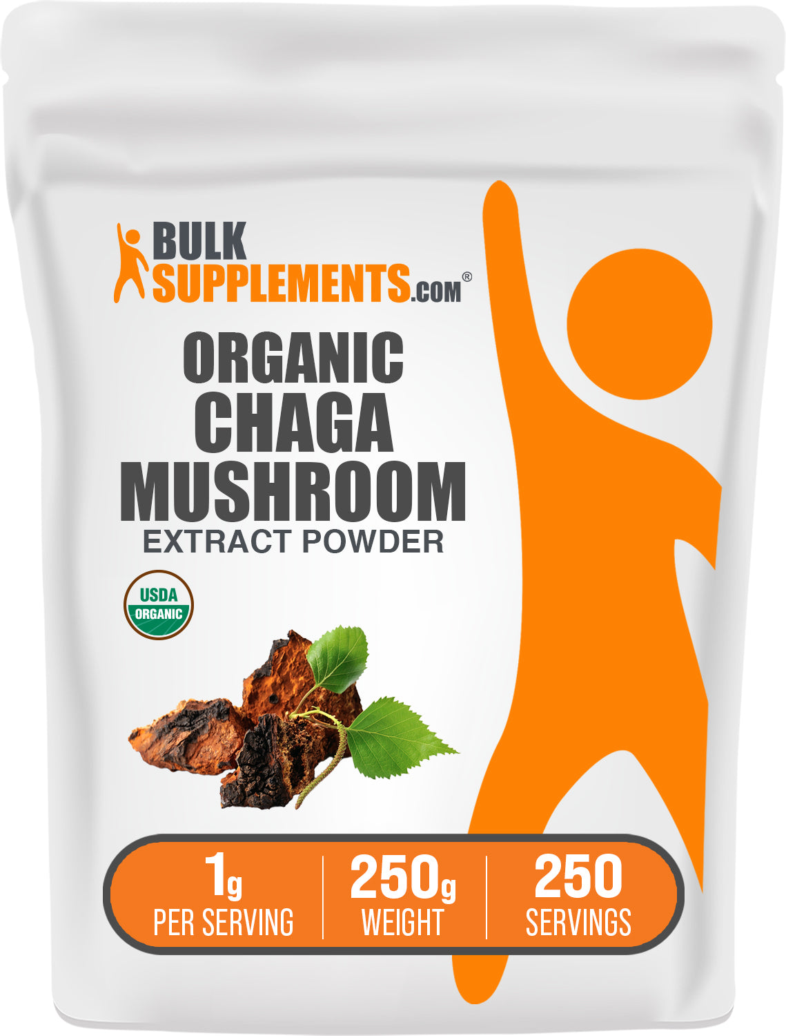 Organic Chaga Mushroom Extract Powder 250g Main Image