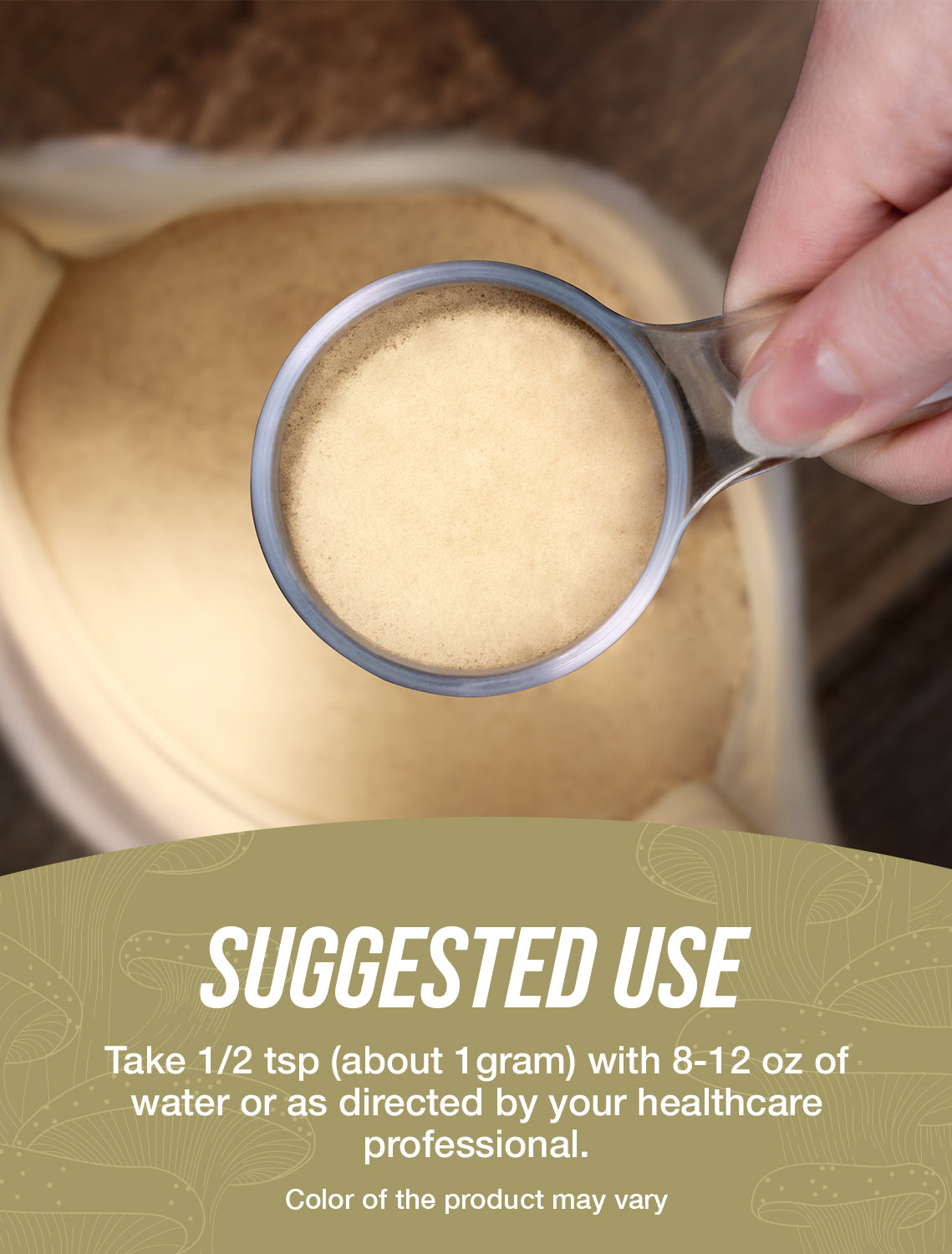 Polvere di estratto di funghi Shiitake