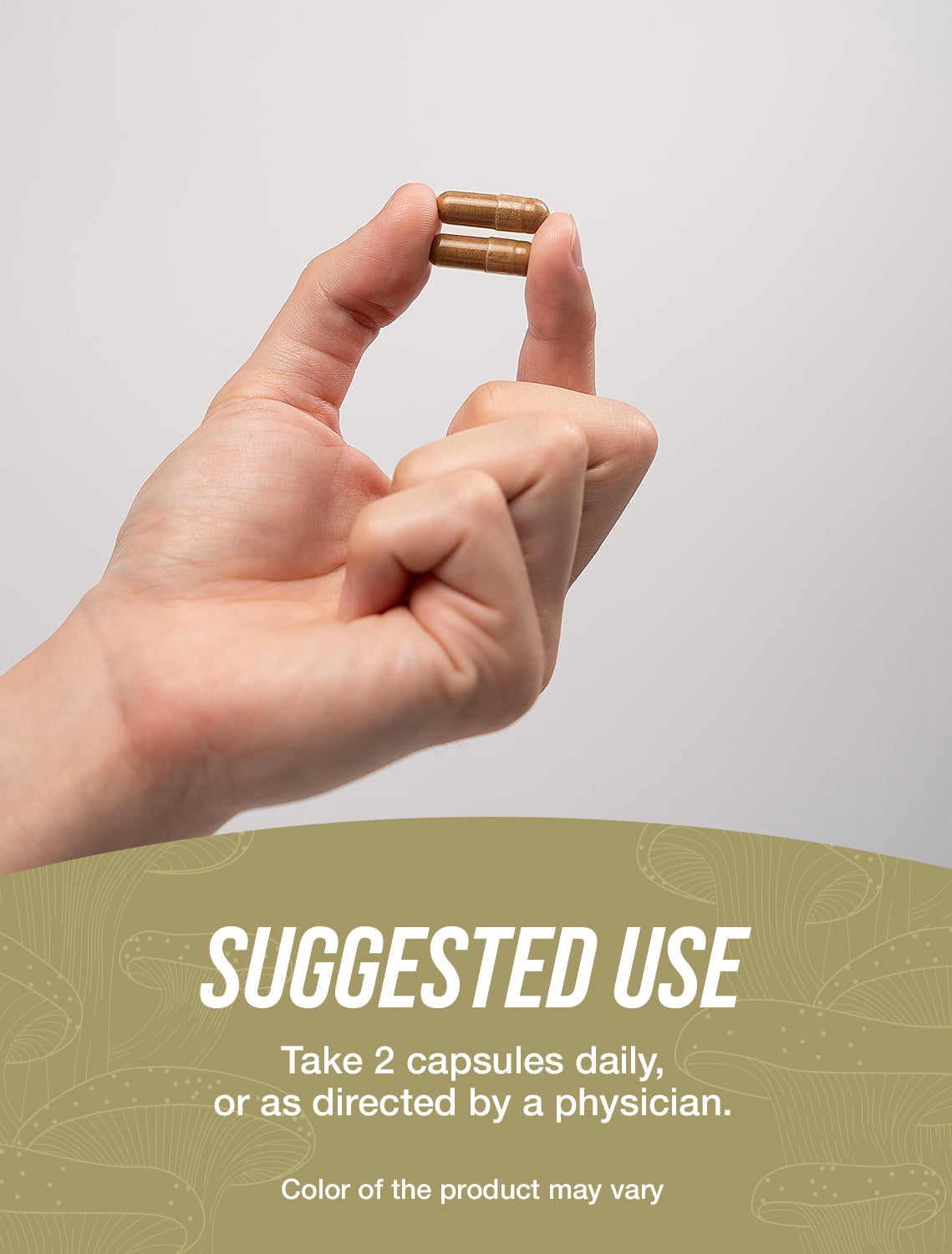 Reishi Mushroom Extract capsules suggested use image