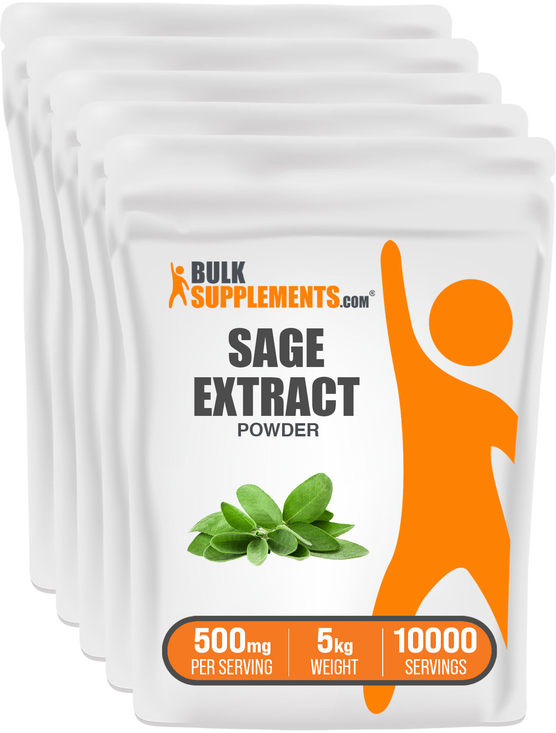 BulkSupplements.com Sage Extract Powder 5kg bag image