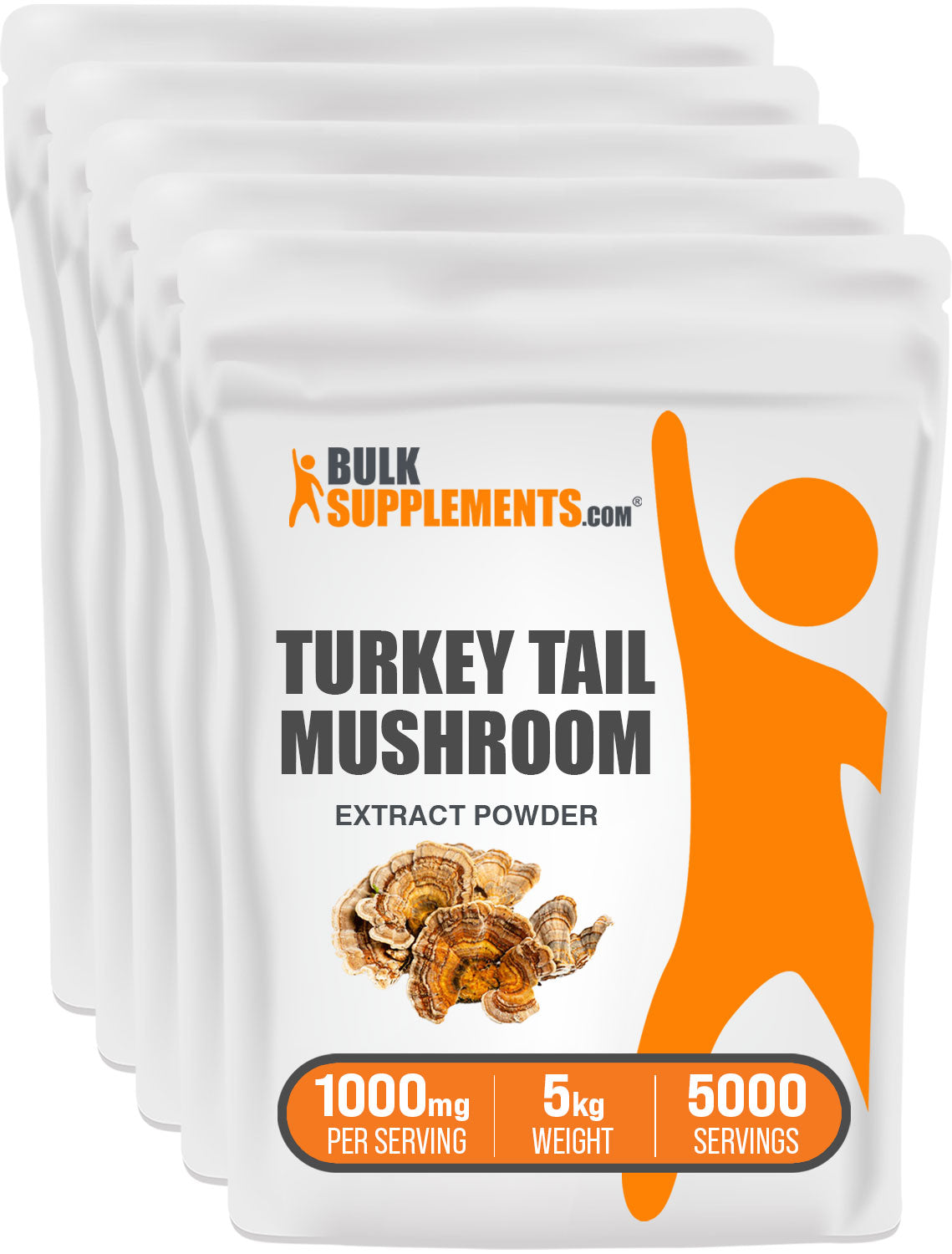 Turkey Tail Mushroom 5kg Bag