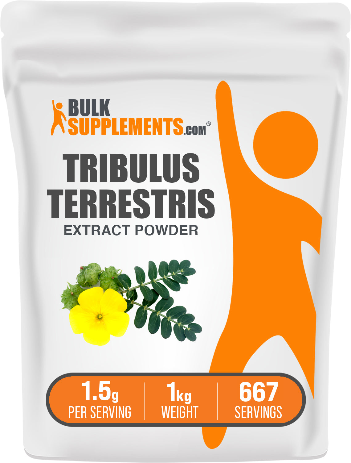 Tribulus Terrestris Extract Powder