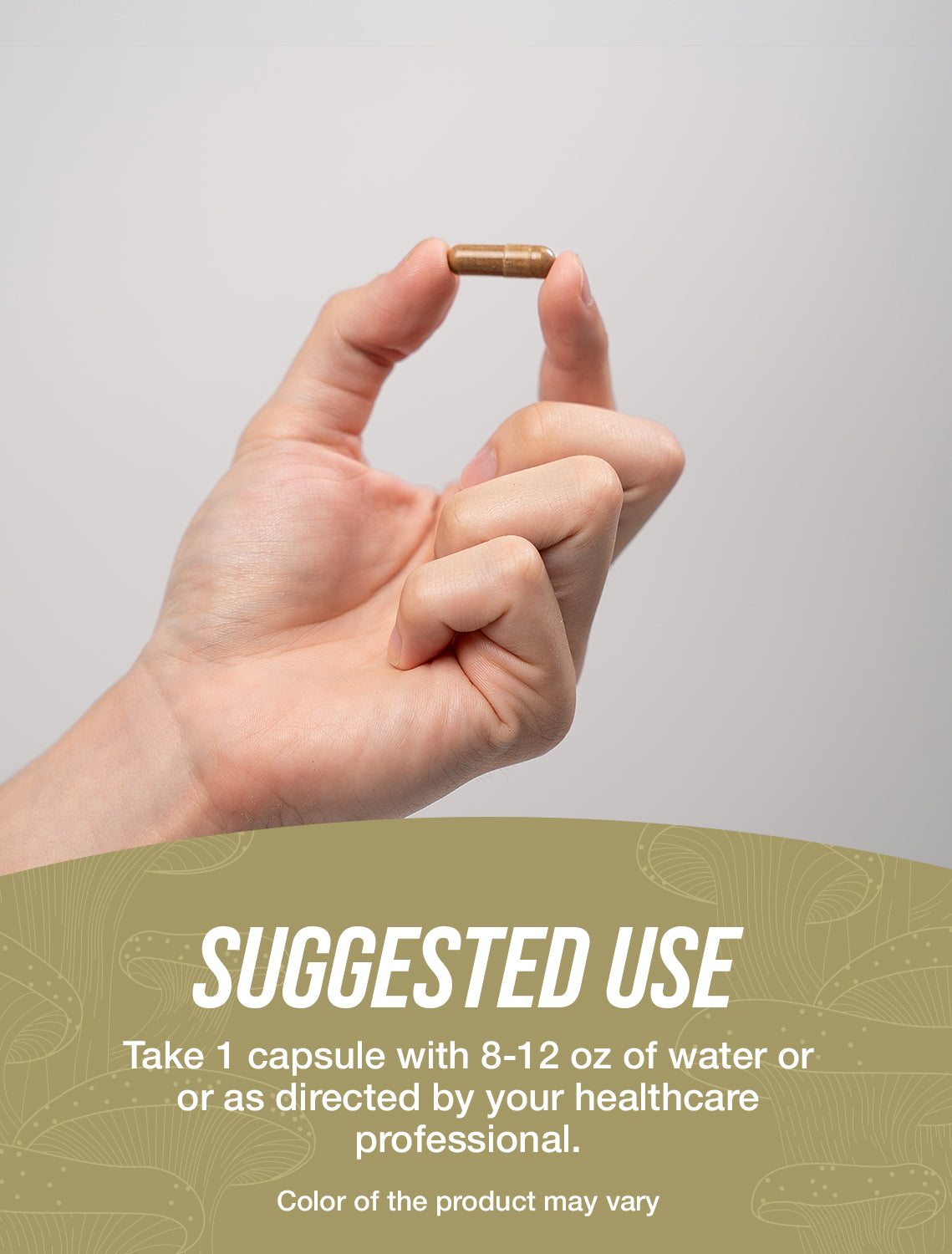 White Button Mushroom Extract capsules suggested use image