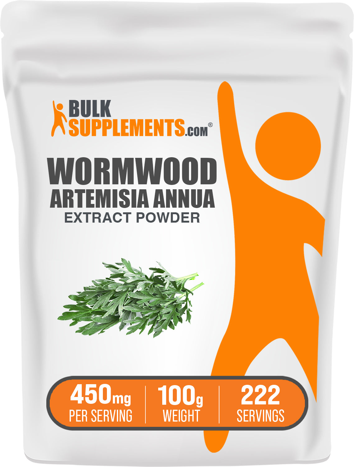 BulkSupplements.com Wormwood Extract Powder 100g bag image