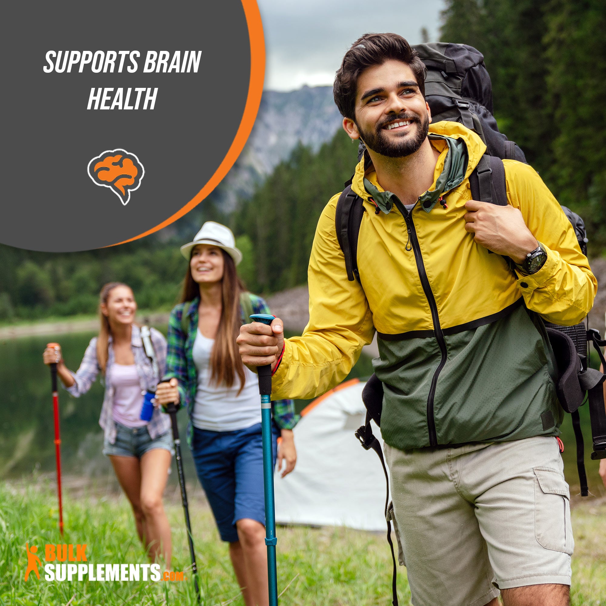 Fo-Ti Extract Brain Booster Supplements Brain Support