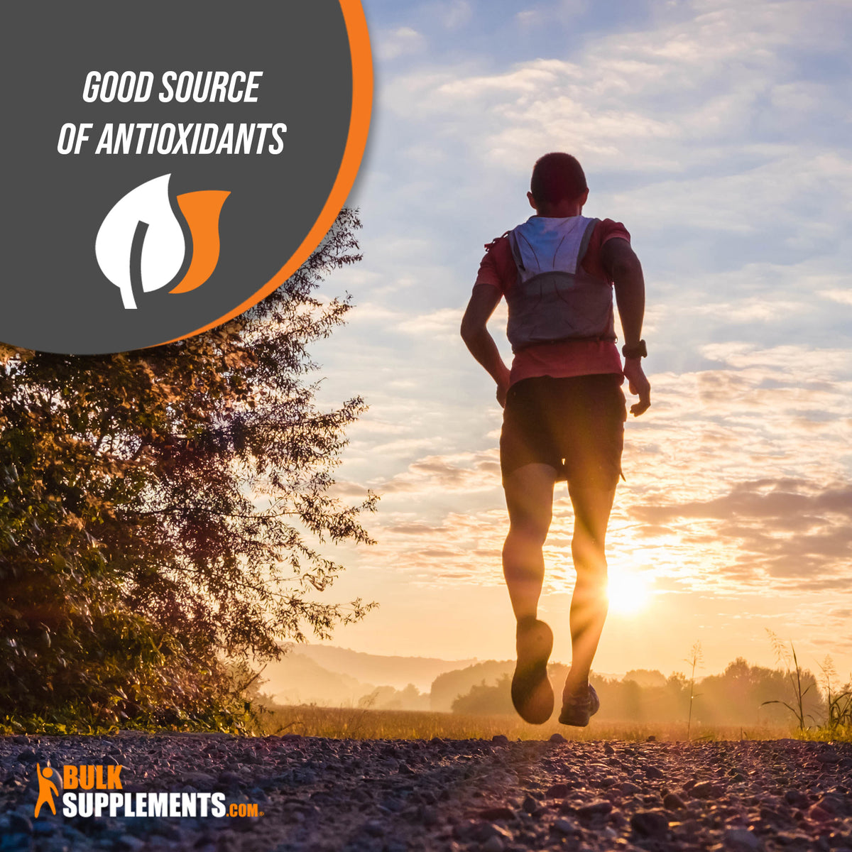 Picture of Alpha Lipoic Acid Capsules (ALA) - Improve Your Health and Wellness
