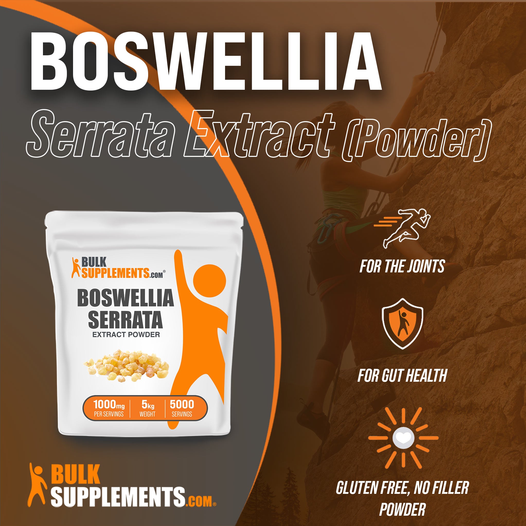 Benefits of 5kg Boswellia Serrata Extract; anti inflammatory supplement