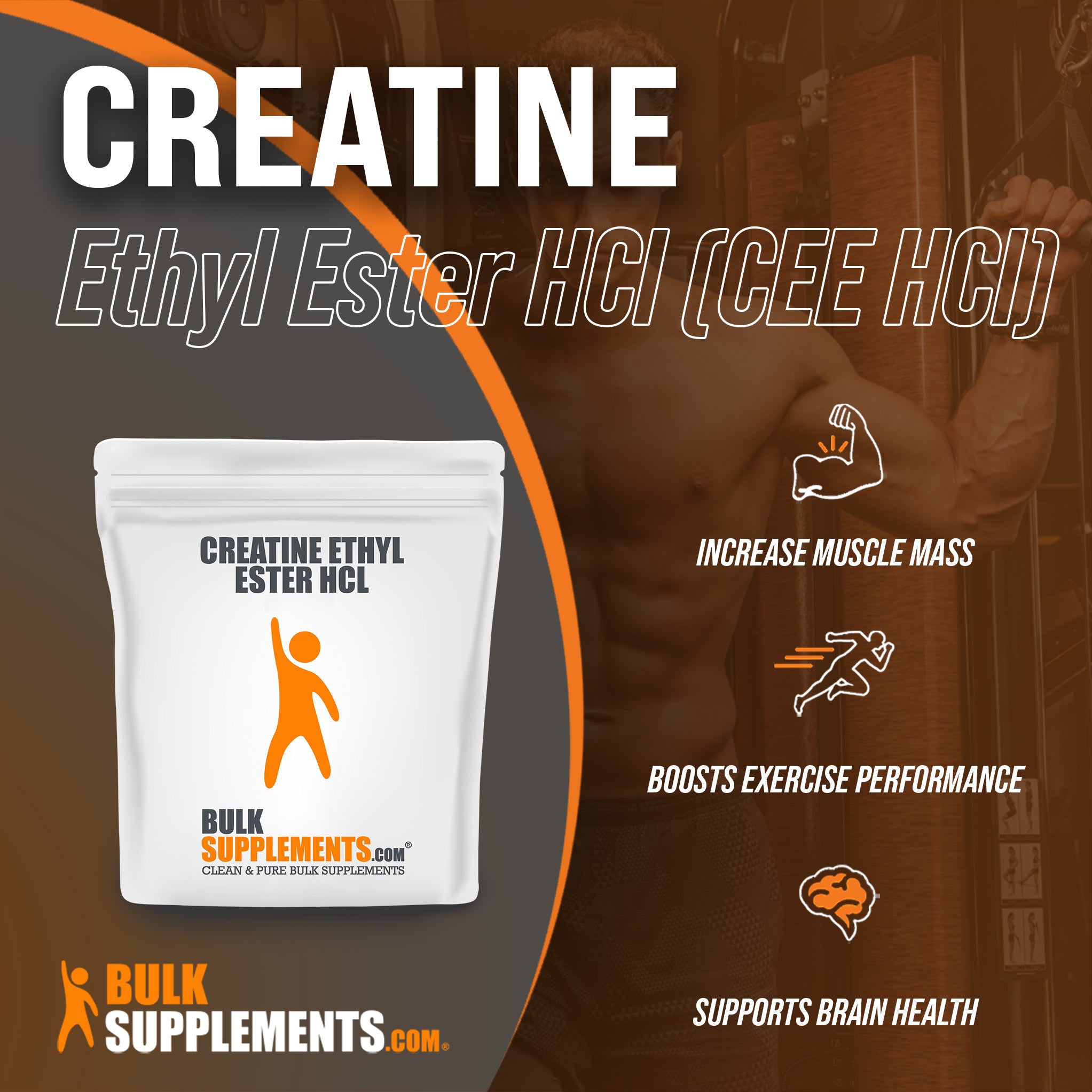 Benefits of Creatine Ethyl Ester HCl (CEE HCl); increase muscle mass, boosts exercise performance, supports brain health