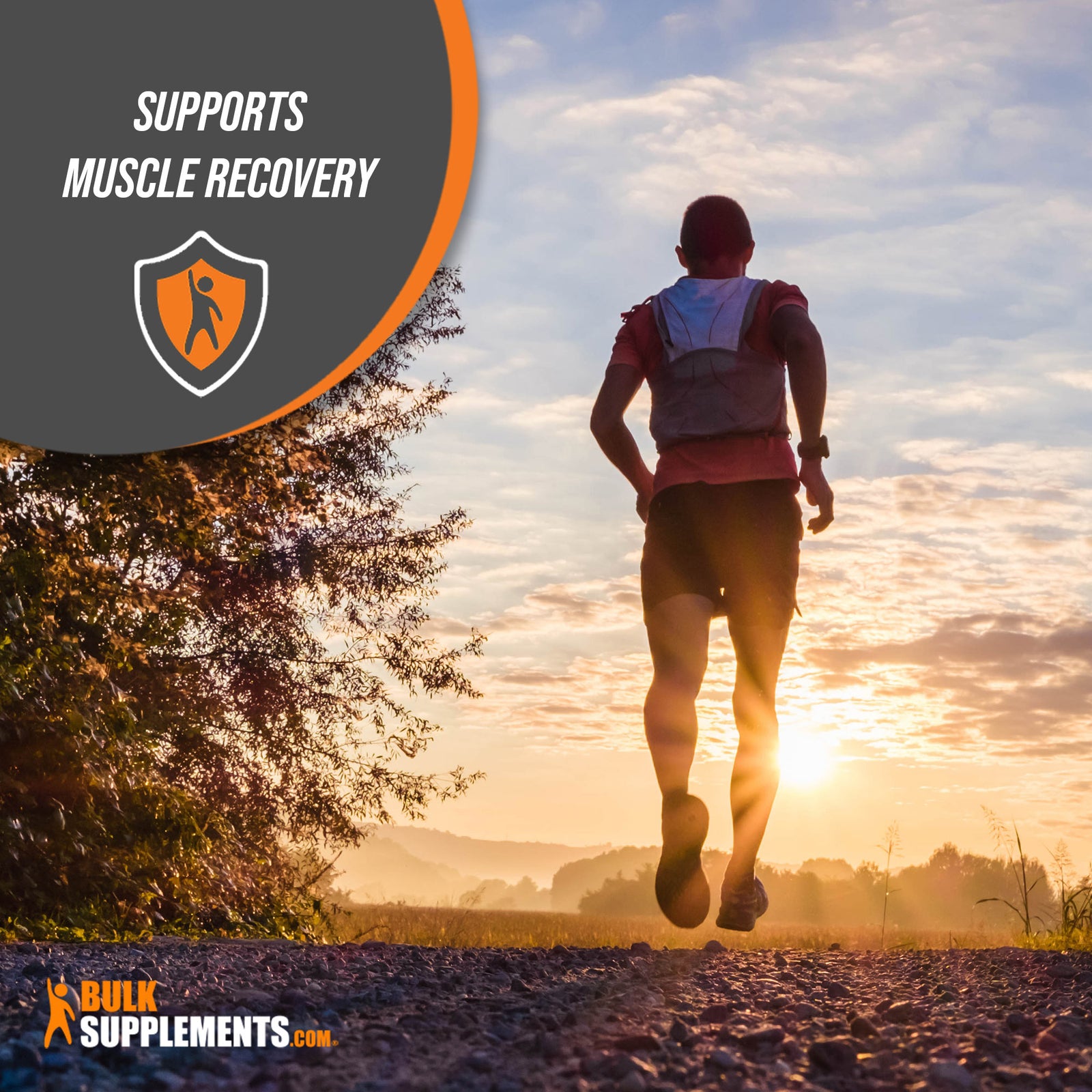 NAcetyl LGlutamine Capules NAC Amino Acid Supplement