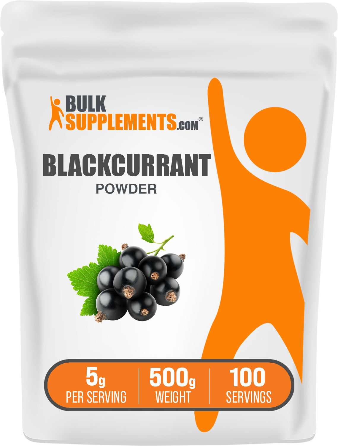 Blackcurrant Powder | Black Currant Powder | Ribes nigrum Powder