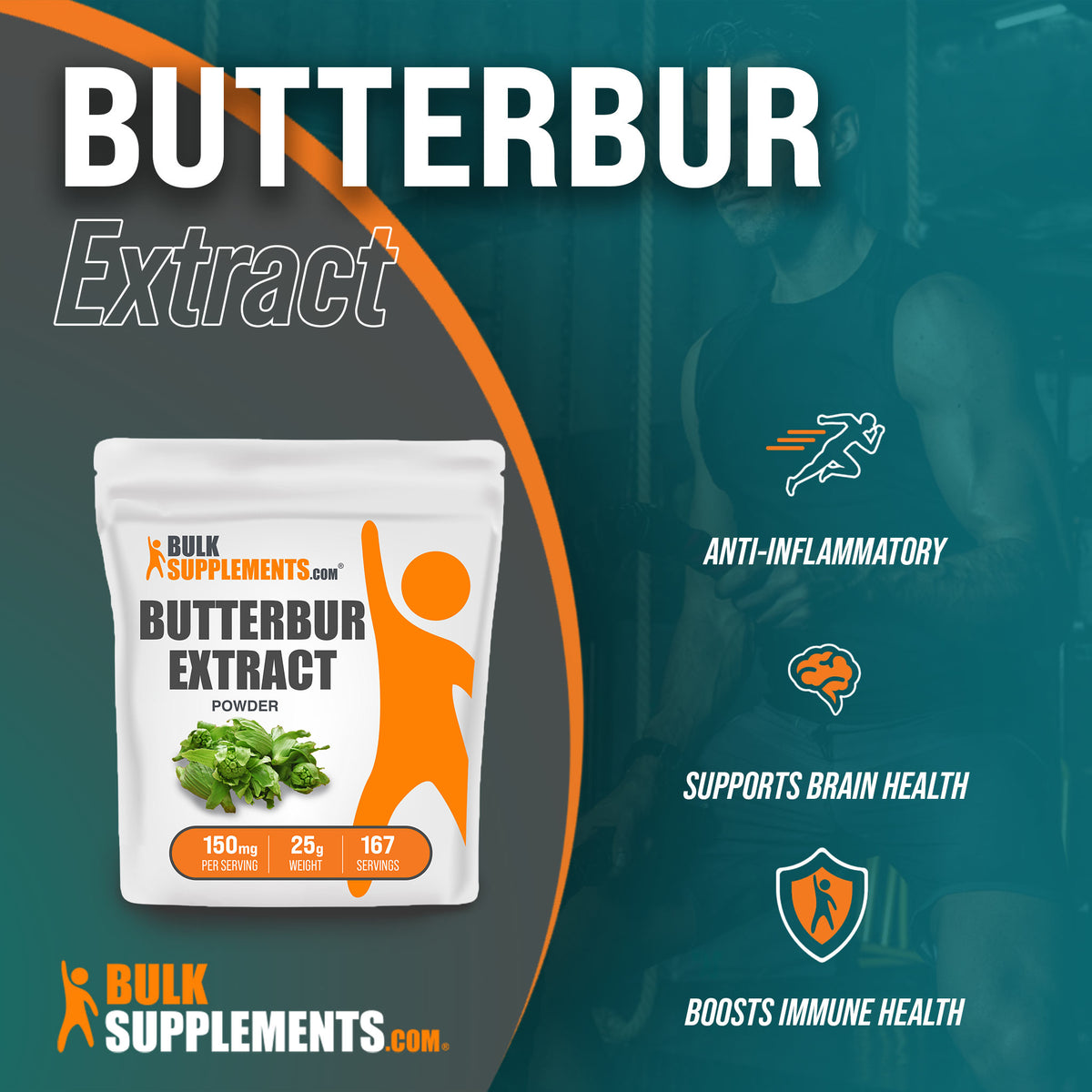 Butterbur Extract Petasites hybridus Butterbur Root Extract