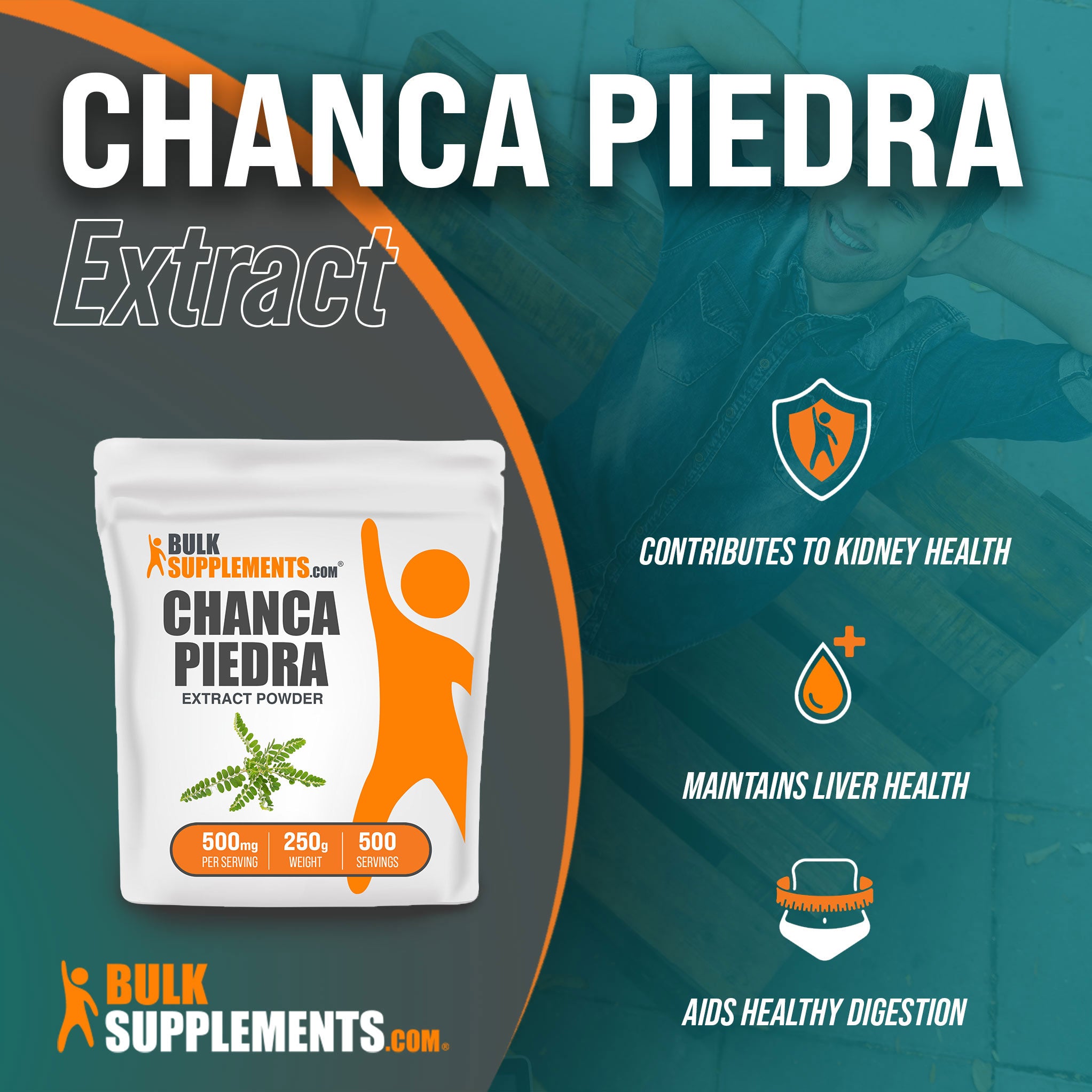 Benefits of Chanca Piedra Extract; contributes to kidney health, maintains liver health, aids healthy digestion
