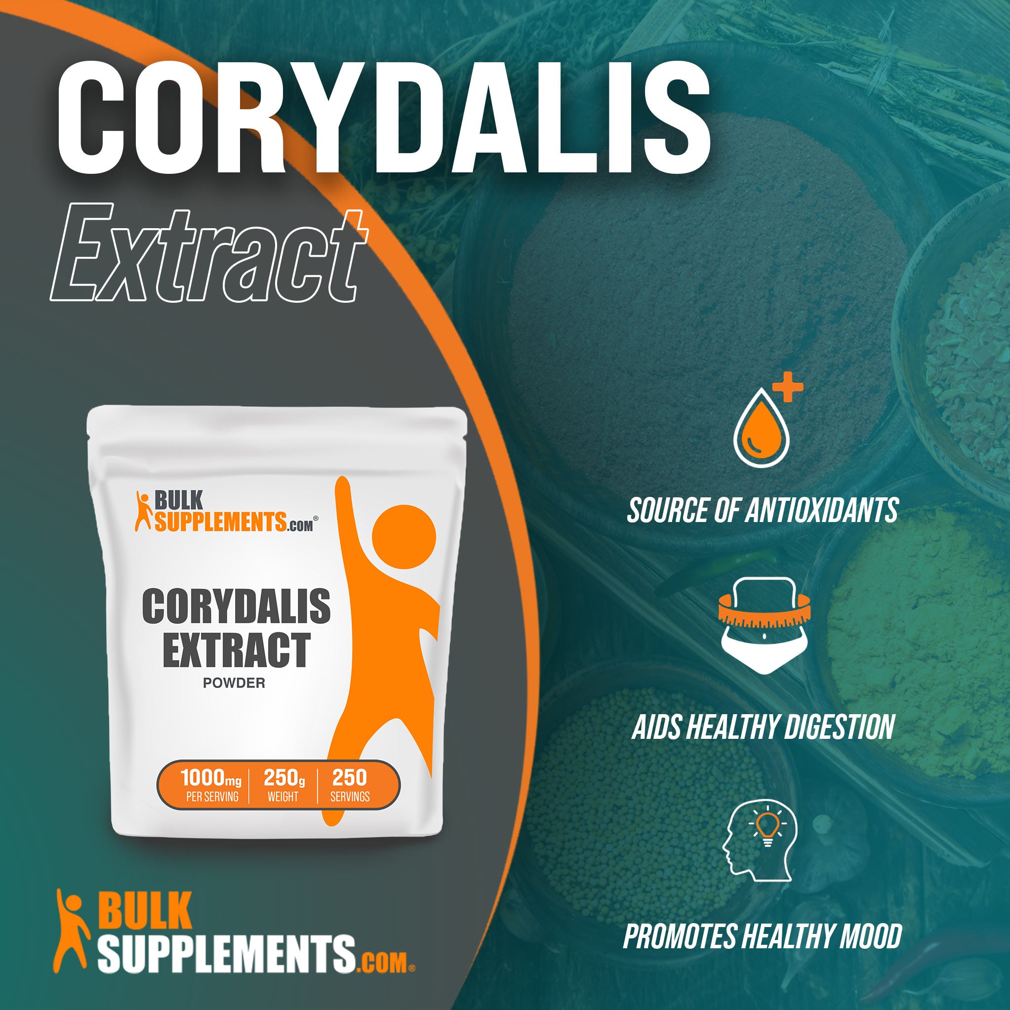 Benefits of Corydalis Extract; source of antioxidants, aids healthy digestion, promotes healthy mood