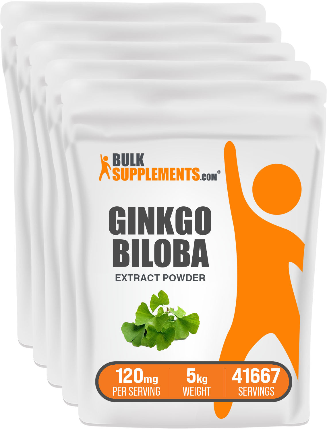Ginkgo Biloba Extract 5kg