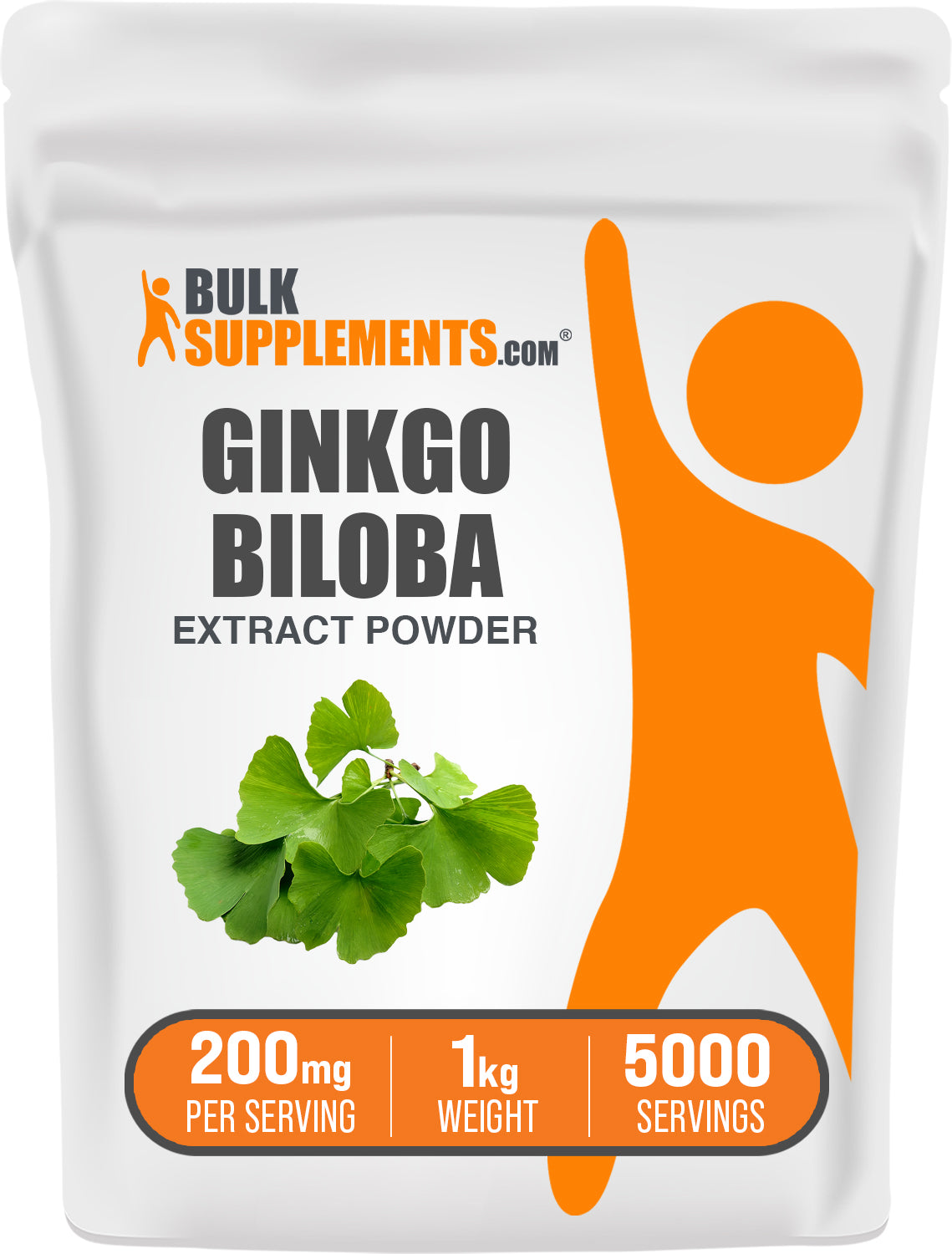 Gingko Biloba Extract Powder Bag 1kg