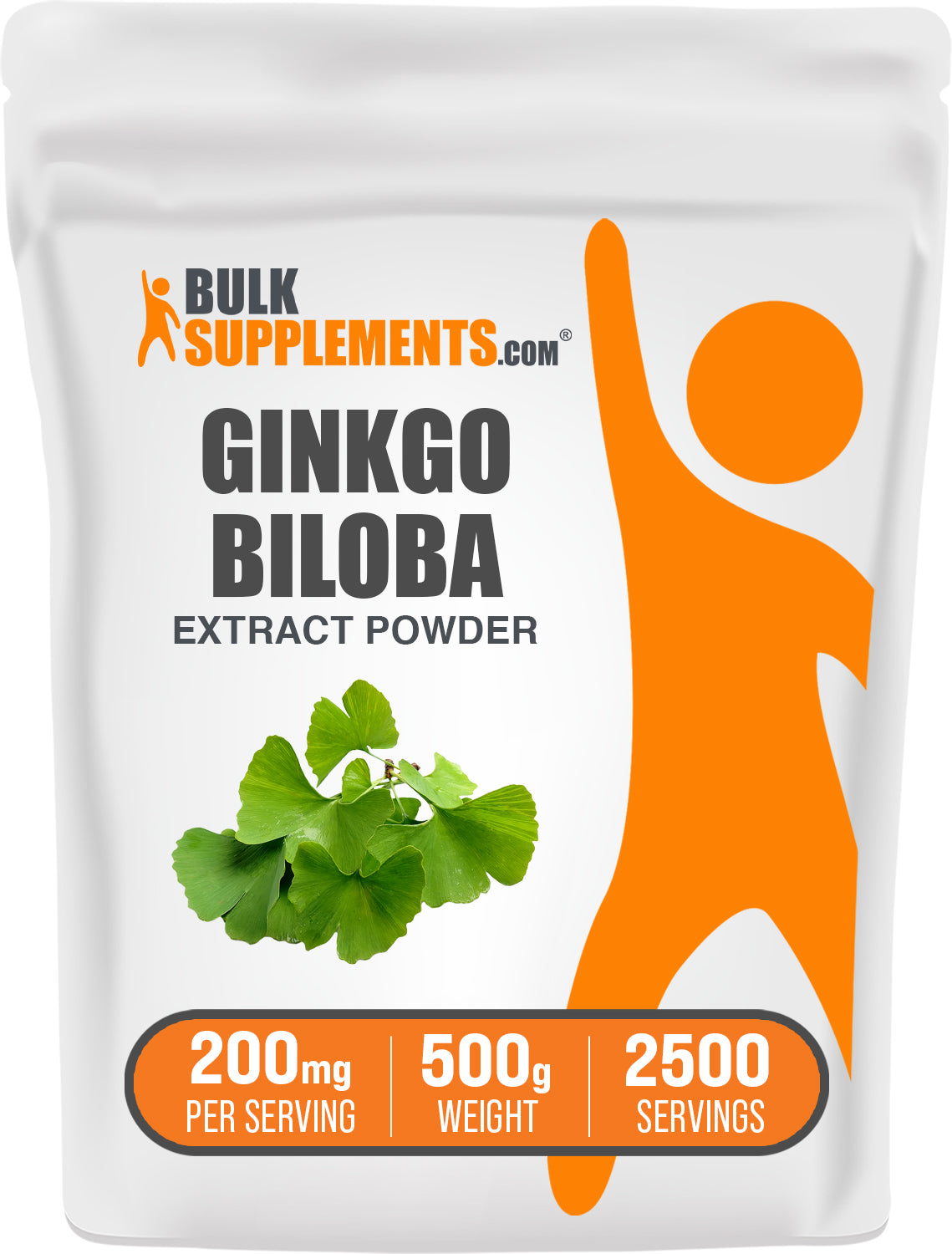 Gingko Biloba Extract Powder Bag 500g