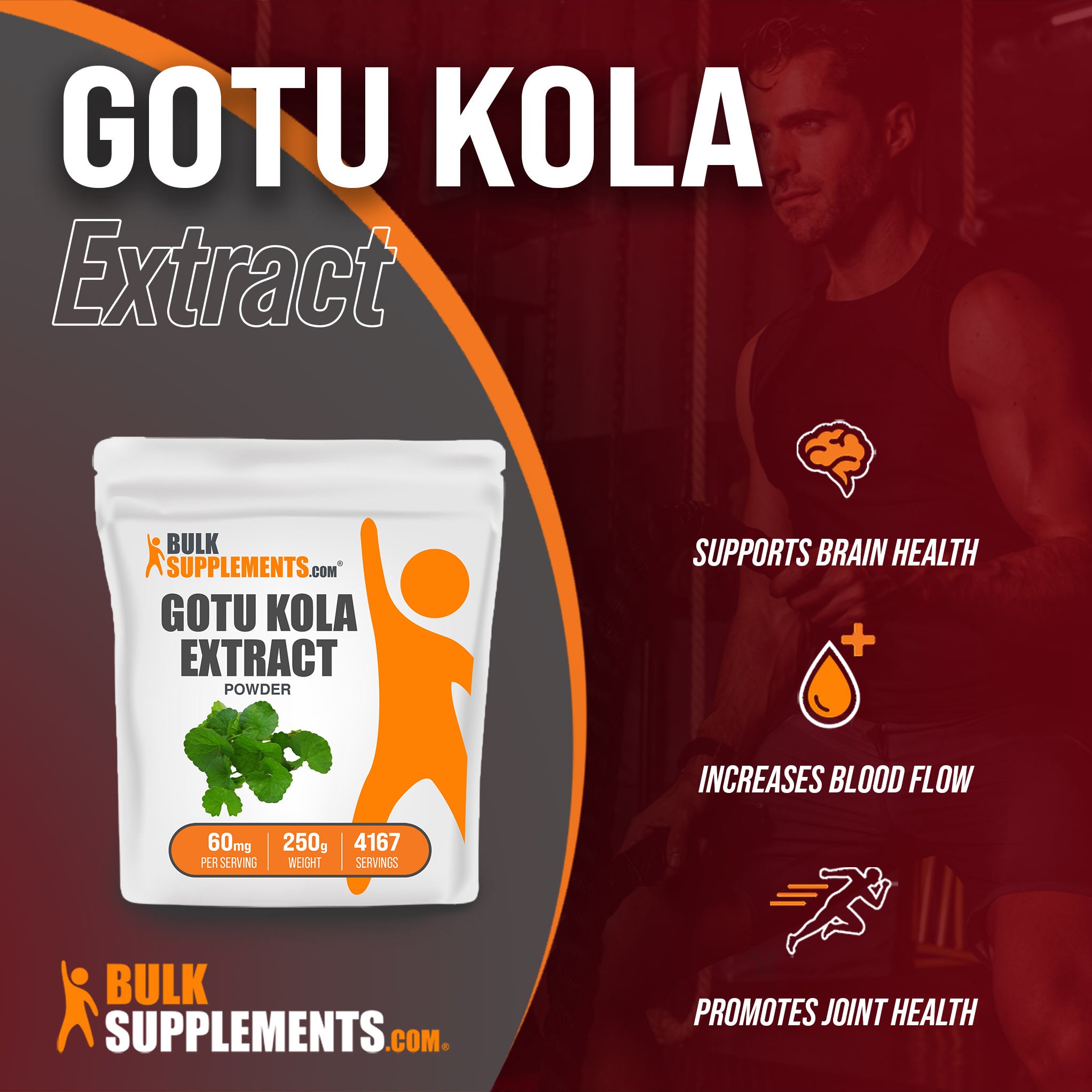 Benefits of Gotu Kola Extract; supports brain health, increases blood flow, promotes joint health