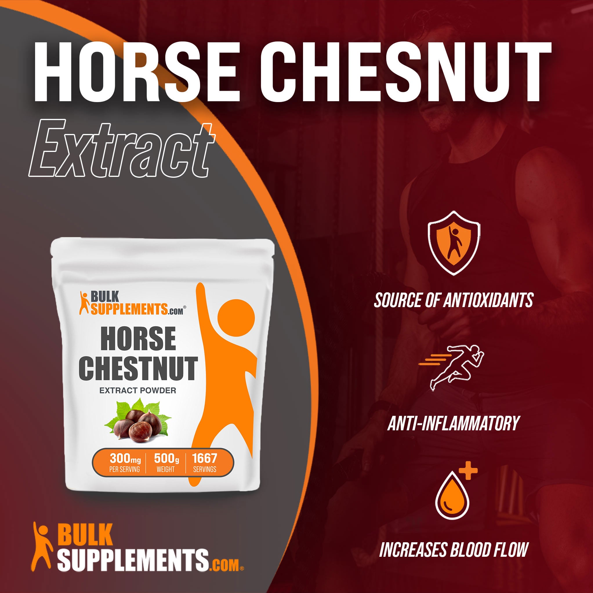 Benefits of Horse Chestnut Extract; source of antioxidants, anti-inflammatory, increases blood flow