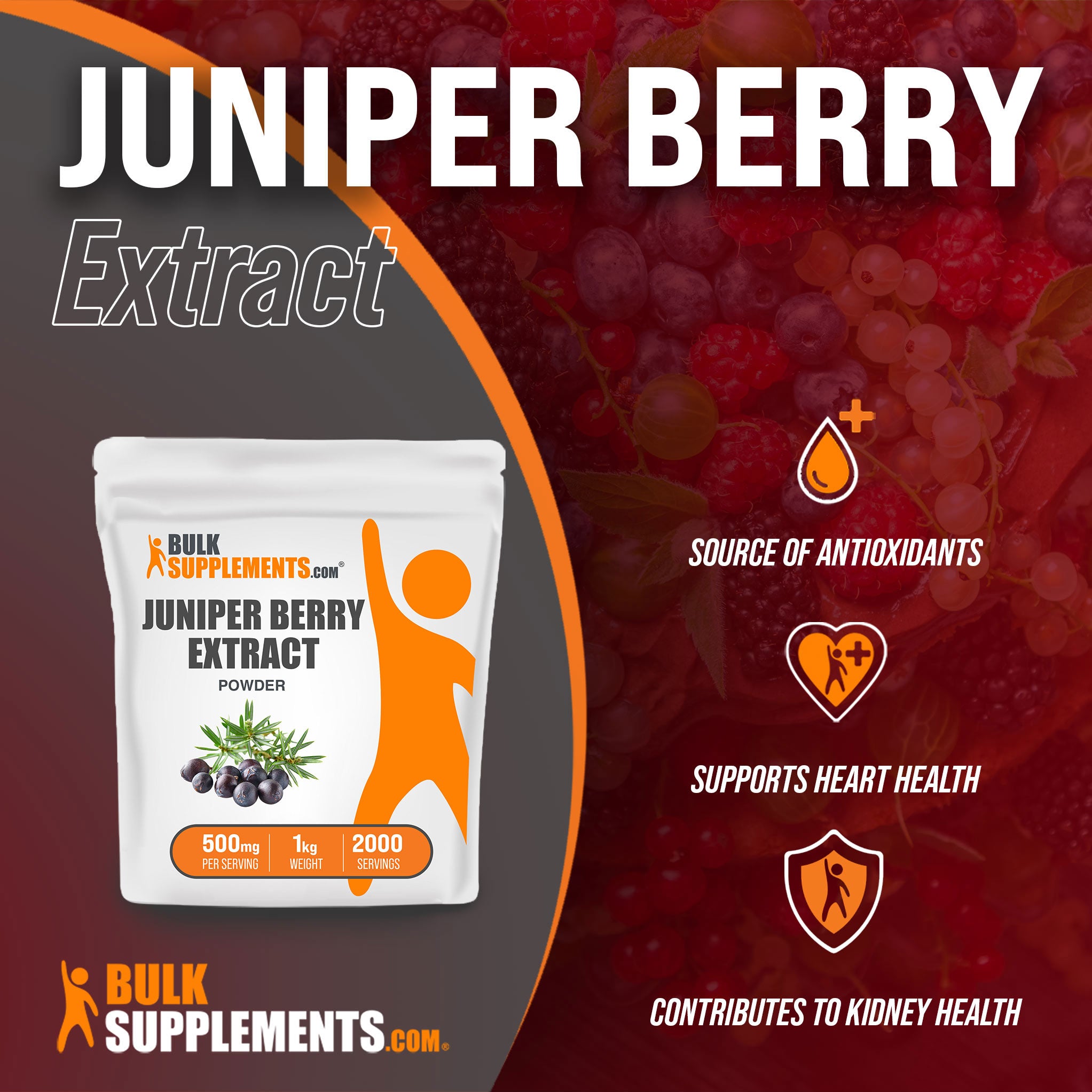 Benefits of Juniper Berry Extract; source of antioxidants, supports heart health, contributes to kidney health