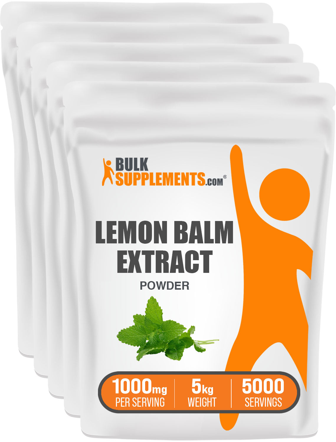 Lemon Balm Extract 5kg