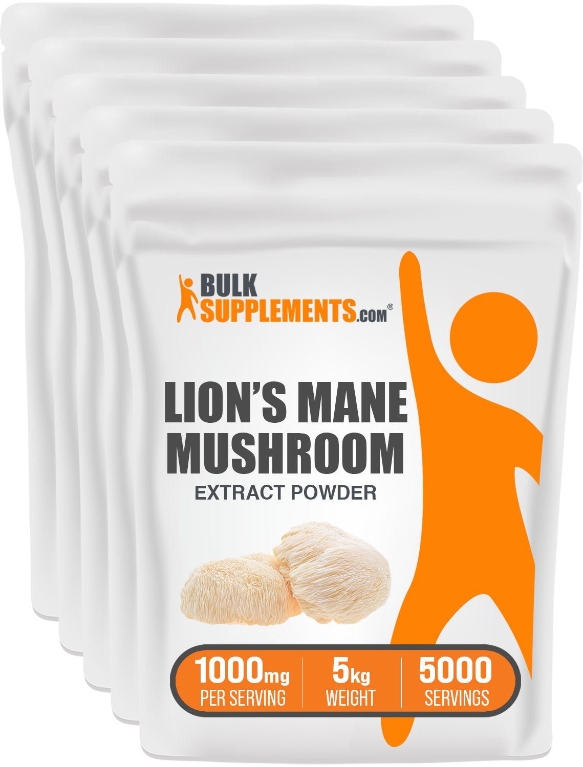 Lion's Mane Mushroom Extract Powder 5kg