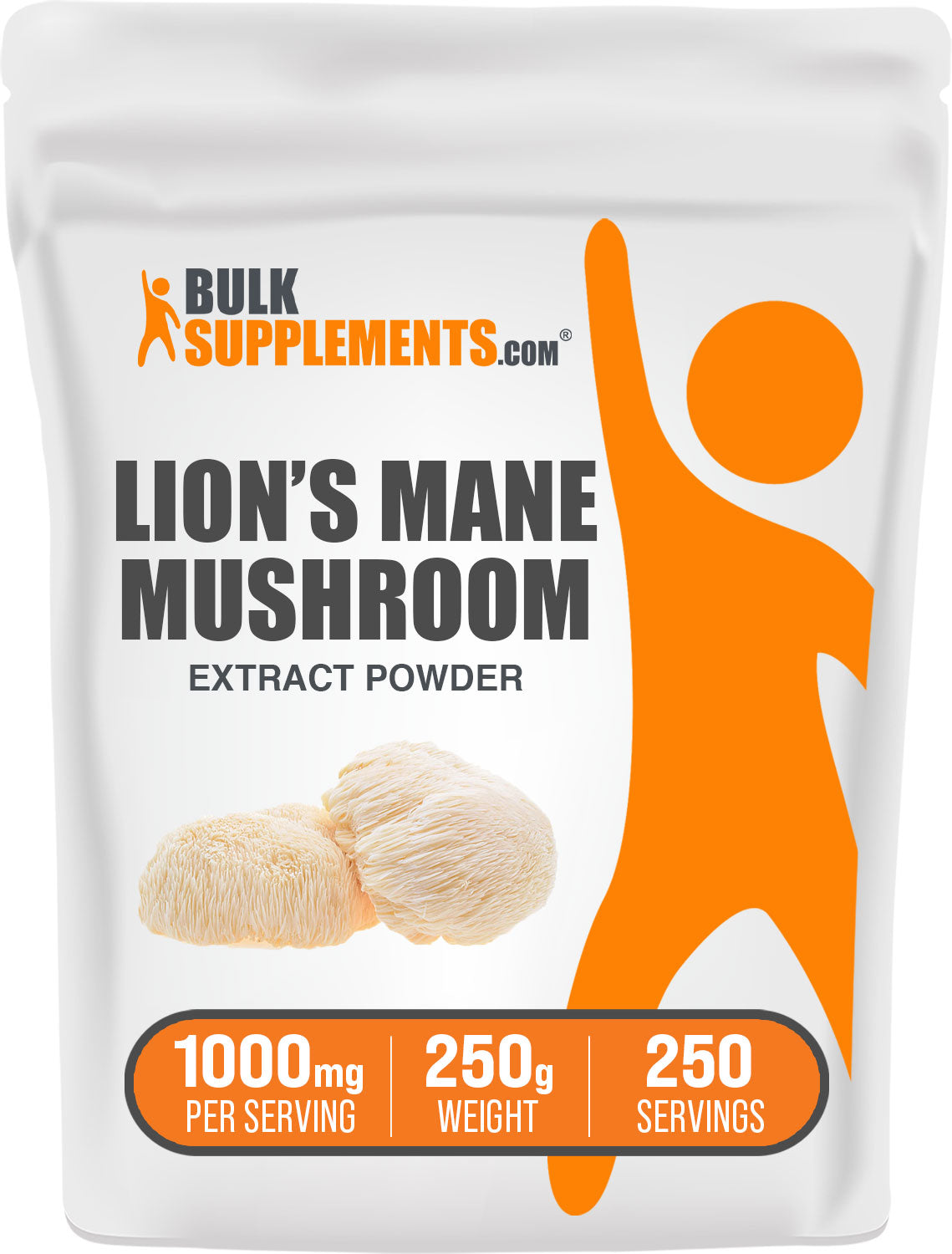 Lion's Mane Mushroom Extract Powder 250g