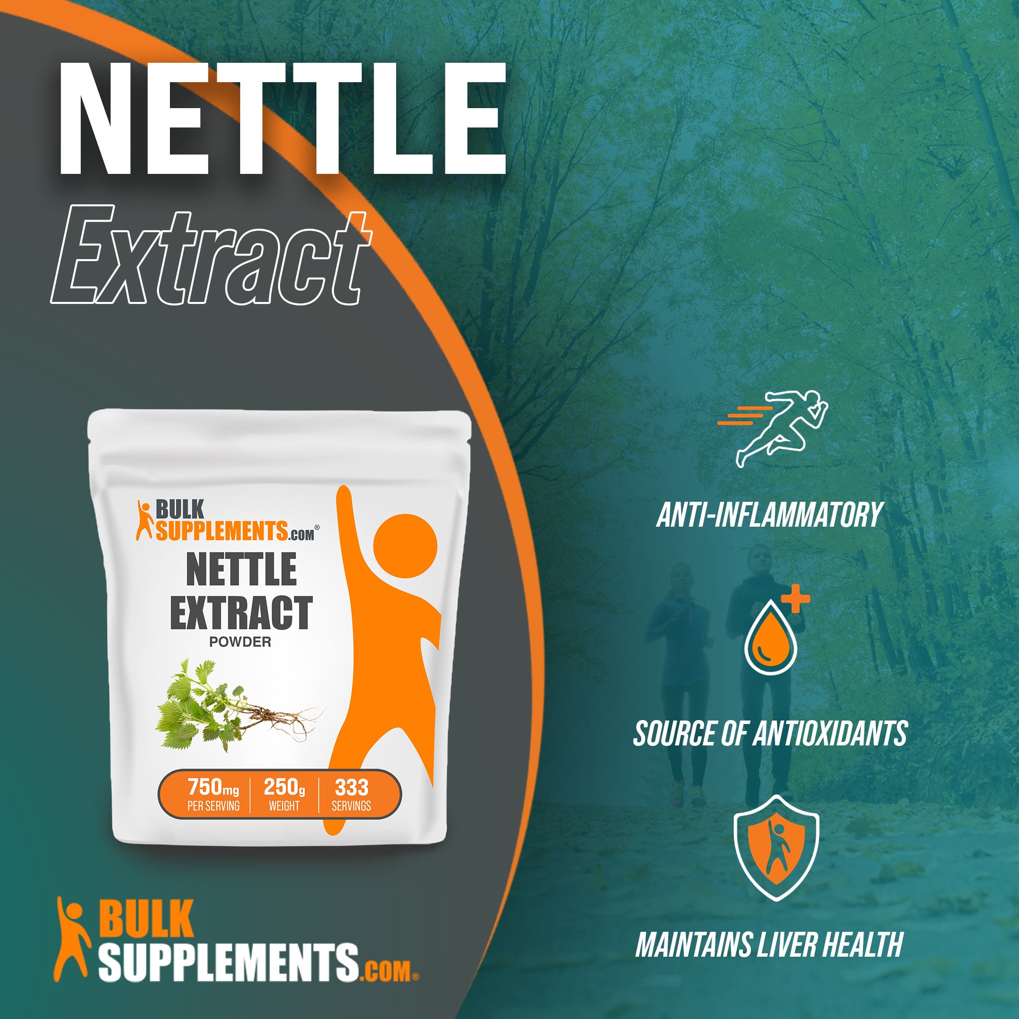 Benefits of Nettle Extract: anti-inflammatory, source of antioxidants, maintains liver health