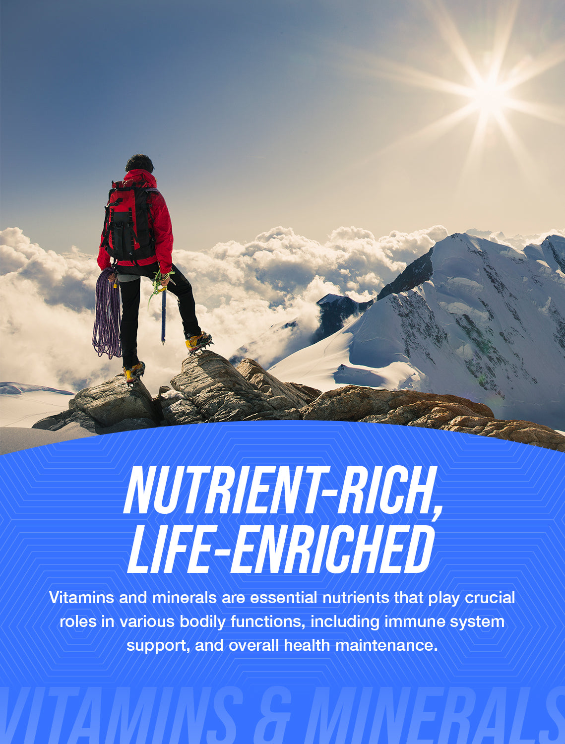 Nutrient rich supplements category image