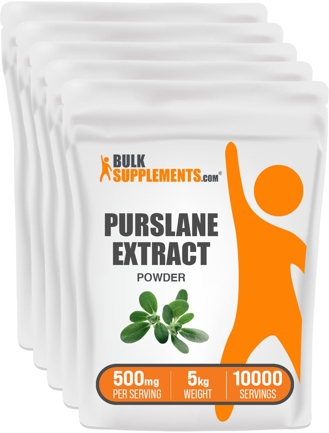 Purslane Extract 5kg Bag