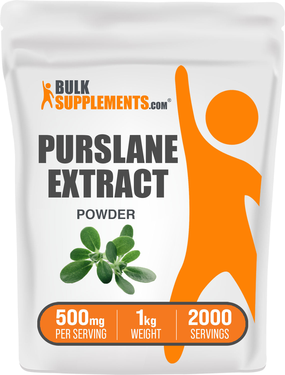 Purslane Extract 1kg Bag