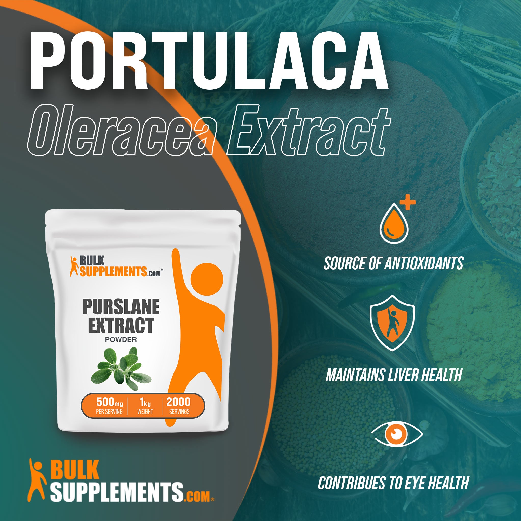 Benefits of Portulaca Oleracea Extract: source of antioxidants, maintains liver health, contributes to eye health