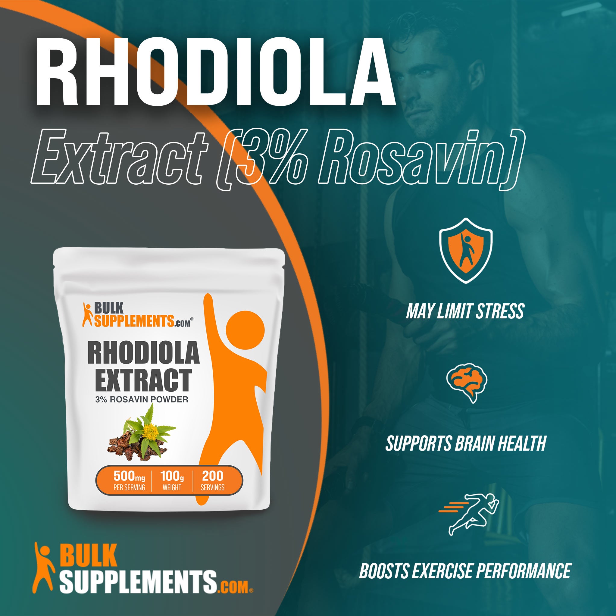 Benefits of Rhodiola Extract 3% Rosavin: may limit stress, supports brain health, boosts exercise performance